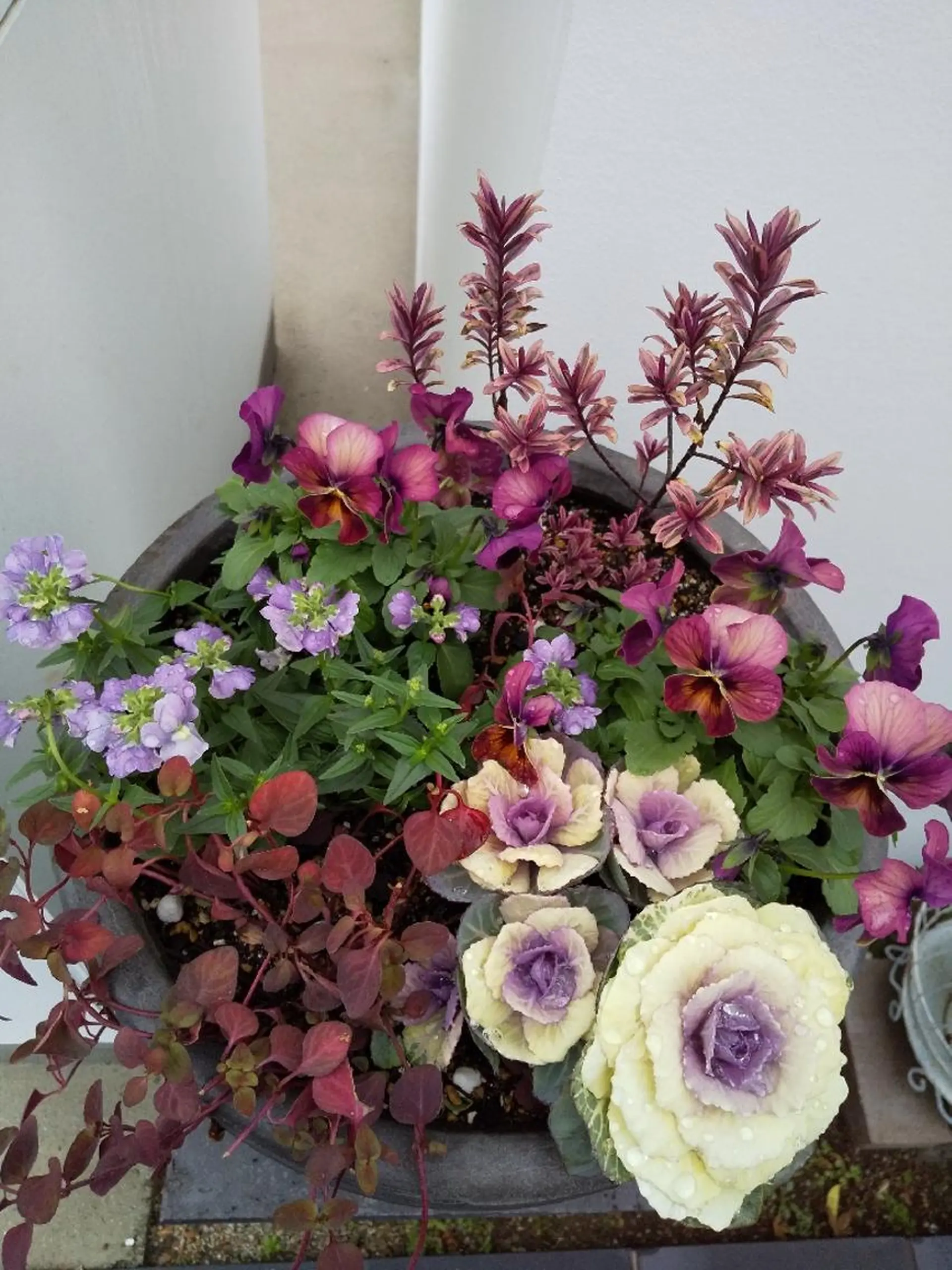 フェイシャルサロンシエルメール所属・エステ。 メナードのエステ・リラクイメージ