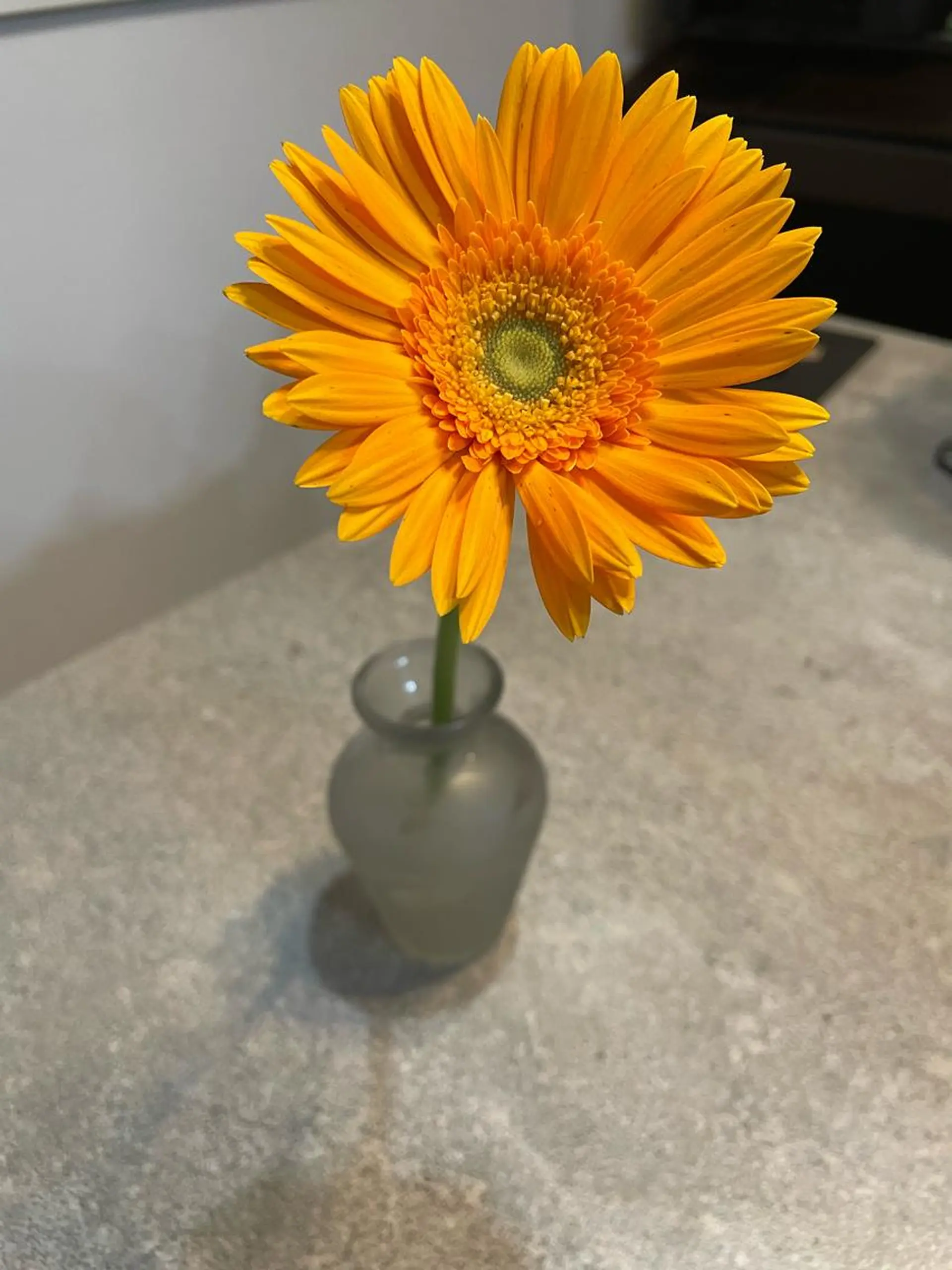 マツエク・マツパ 自宅マツエクサロン A/Rのマツエク・マツパデザイン