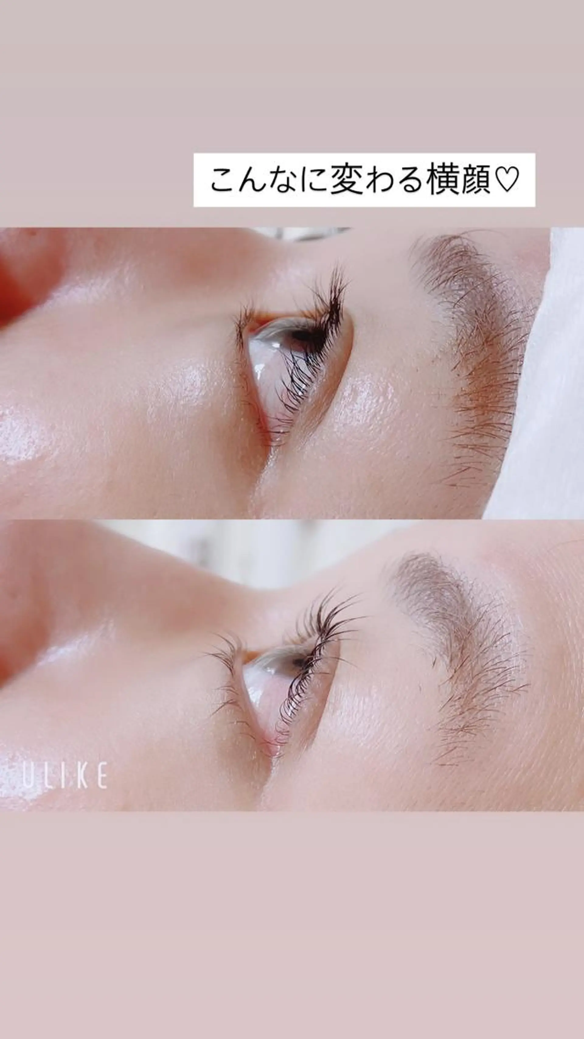 マツエク・マツパ マツパ Lotus.所属・Lotus. makoのエステ・リラクイメージ