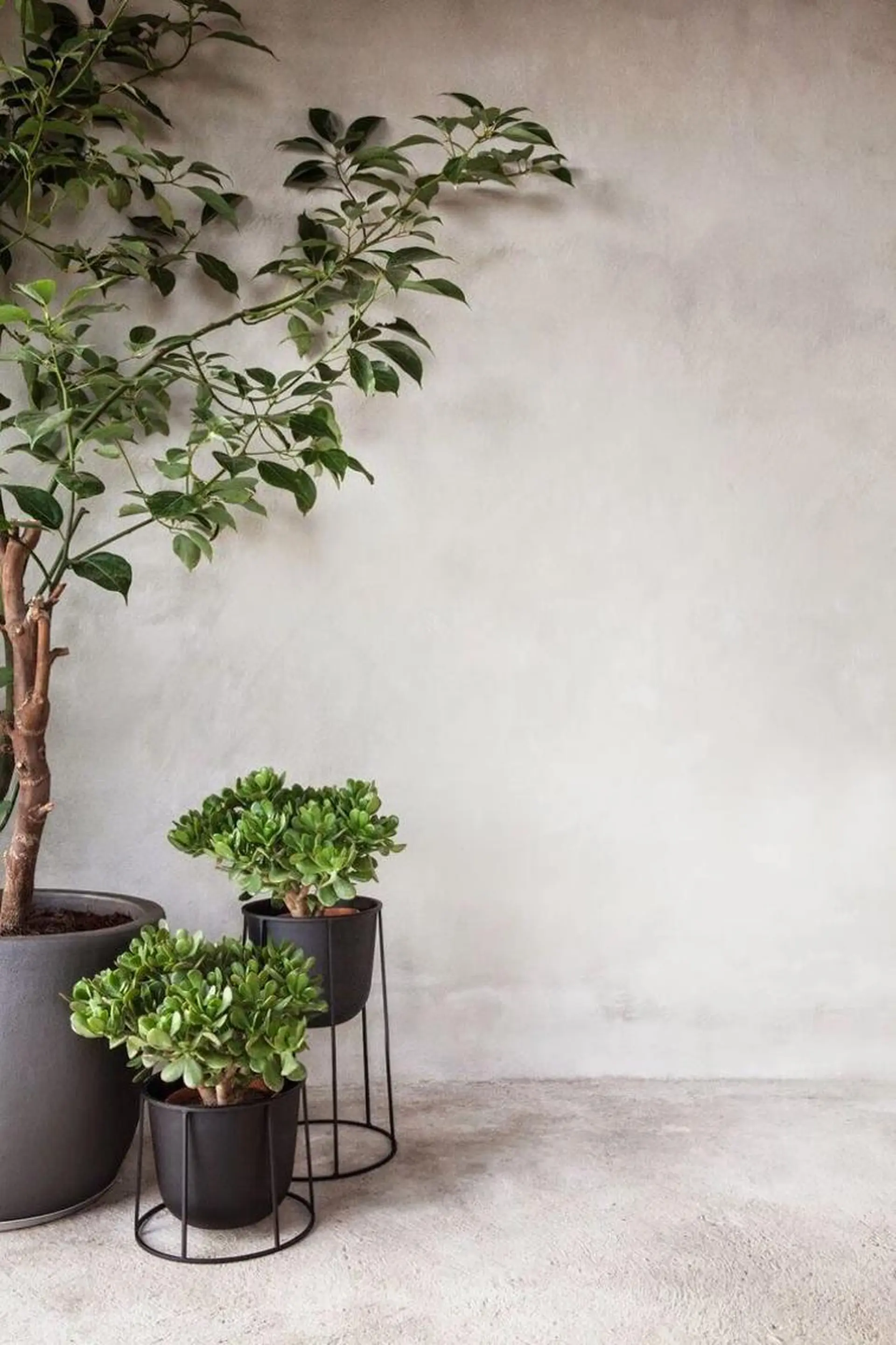 ネイル GULLIG söt GULLIGのネイルデザイン