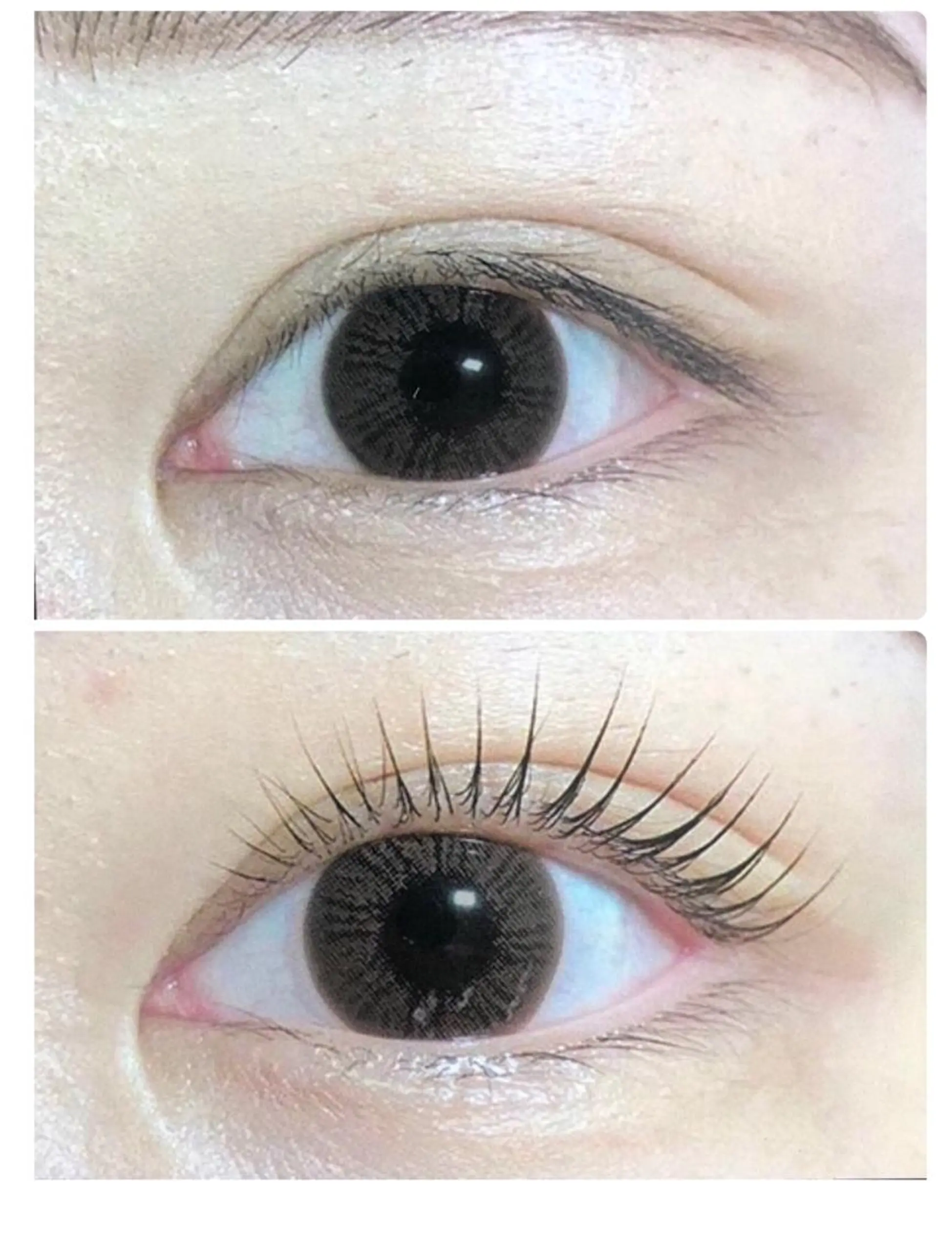 マツエク・マツパ マツパ クィーンズタウン所属・富永 佐知代のマツエク・マツパデザイン