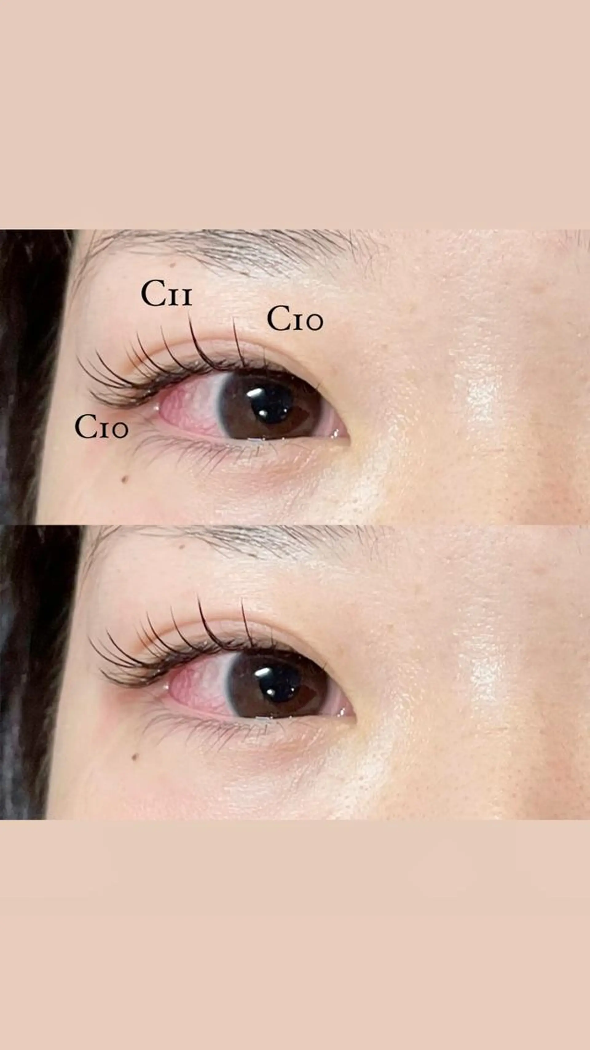 マツエク・マツパ セーブル ＋tico _ayanaのマツエク・マツパデザイン