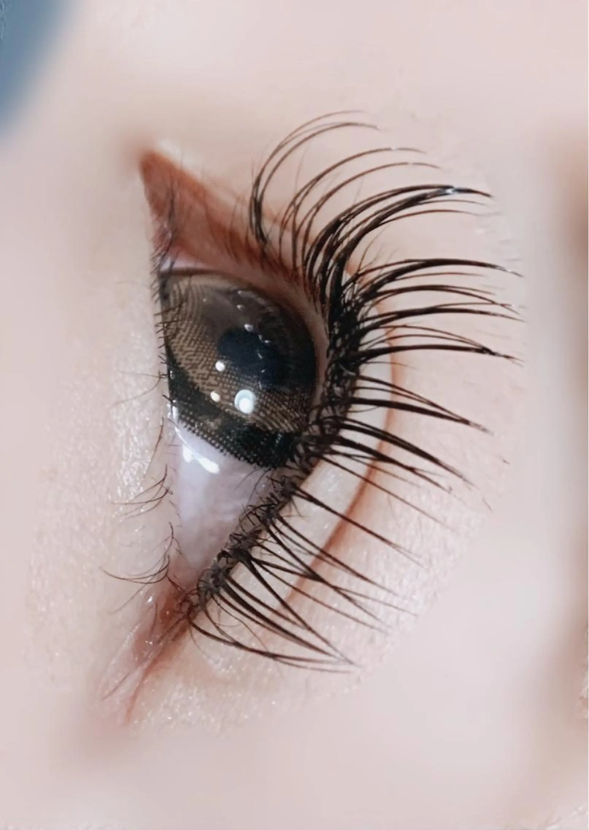 マツエク・マツパ ボリュームラッシュ CLOVER一宮店所属・岩佐 朋香のマツエク・マツパデザイン