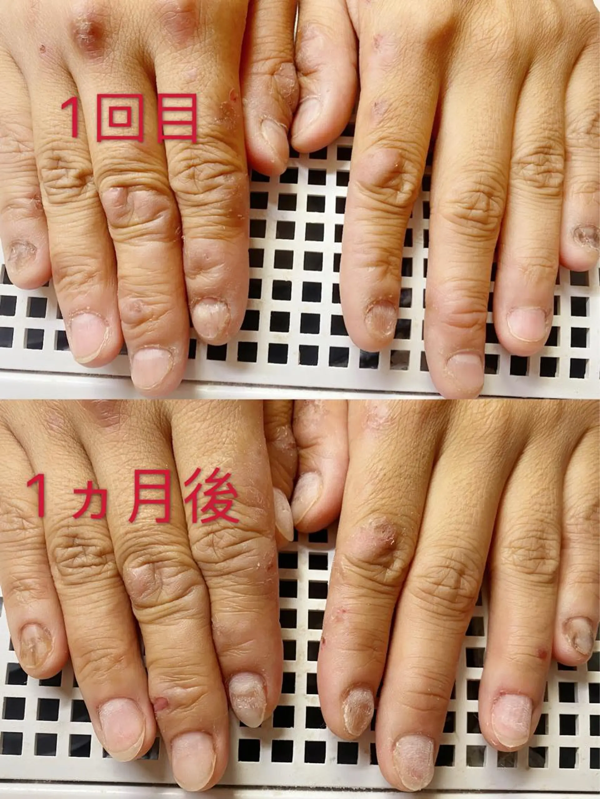 ロング カラー ネイル Q Free nailsのネイルデザイン