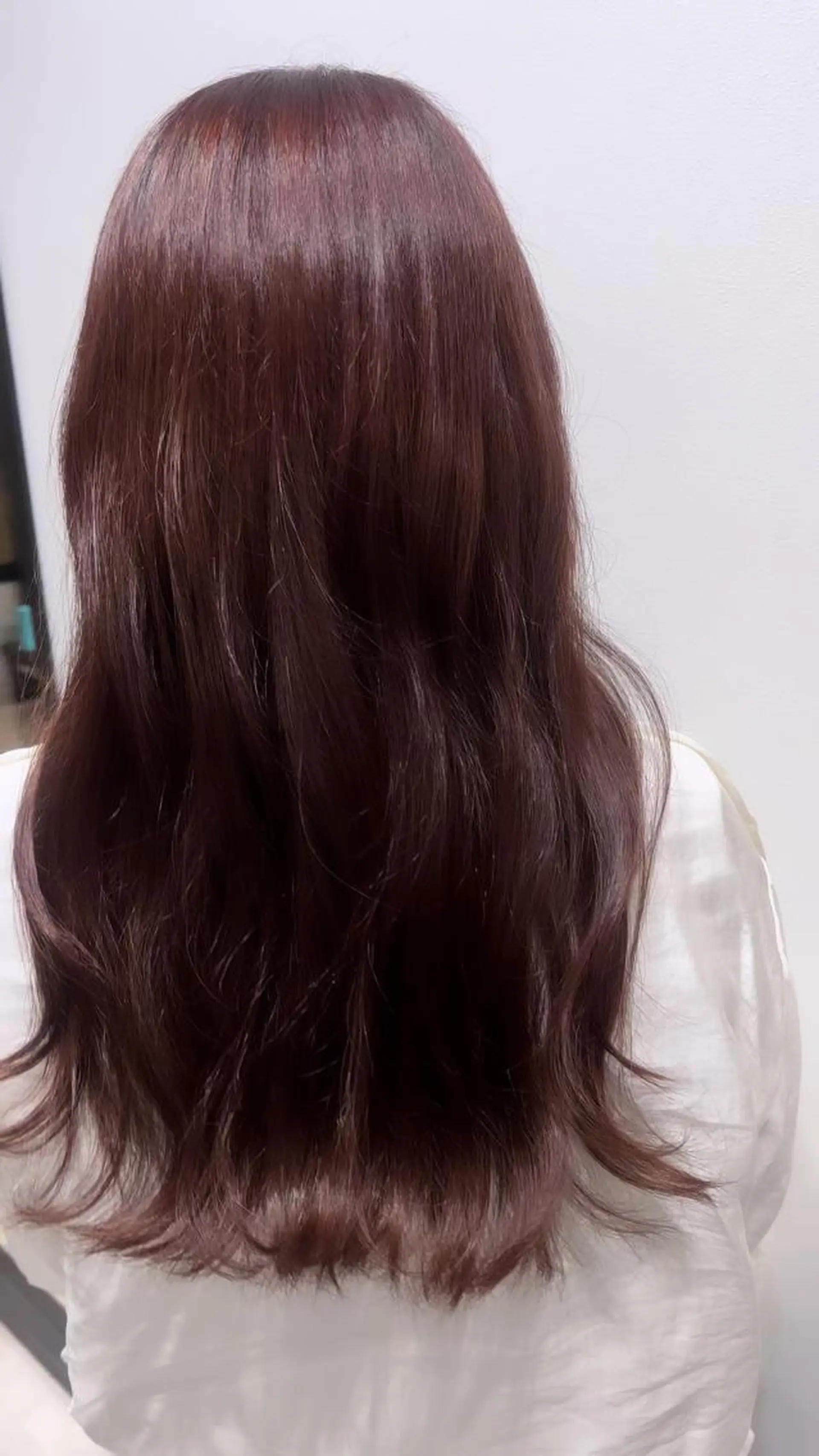 ロング カラー ピンクカラー カット ヘアカラー トリートメント 🫧ぷる艶カラー🫧 Yuubi🦩のヘアスタイル