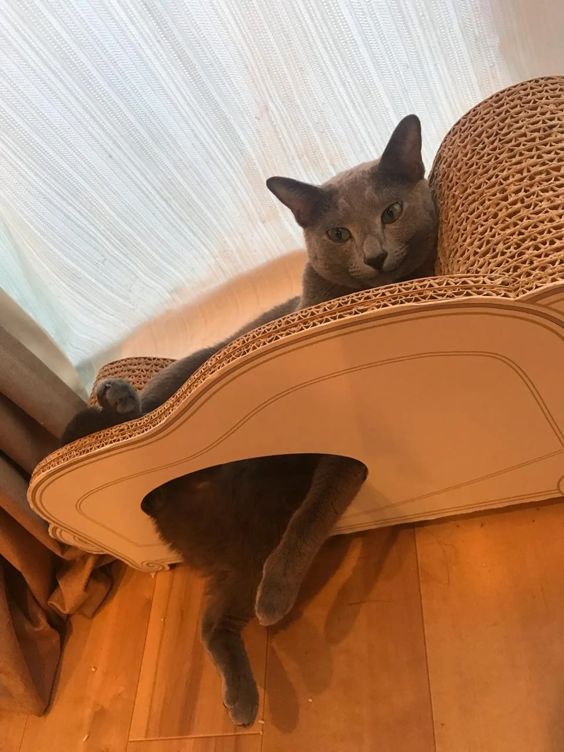 ショート カラー パーマ ヘアアレンジ メンズ キッズ ネイル マツエク・マツパ アニメ,Vオタク× 即効痩せエステサロンのエステ・リラクイメージ