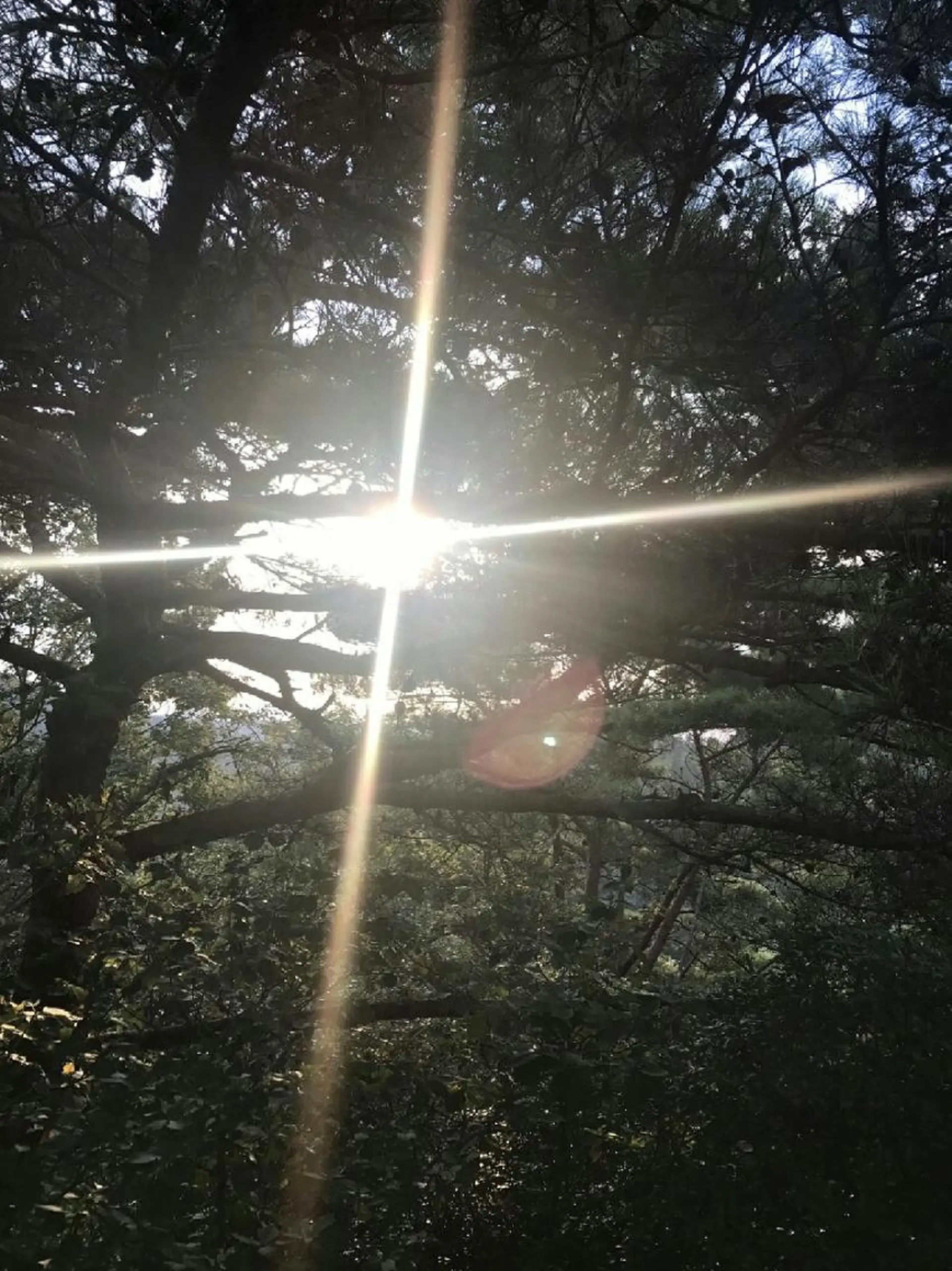 g*rossa高橋 くみこのエステ・リラクイメージ