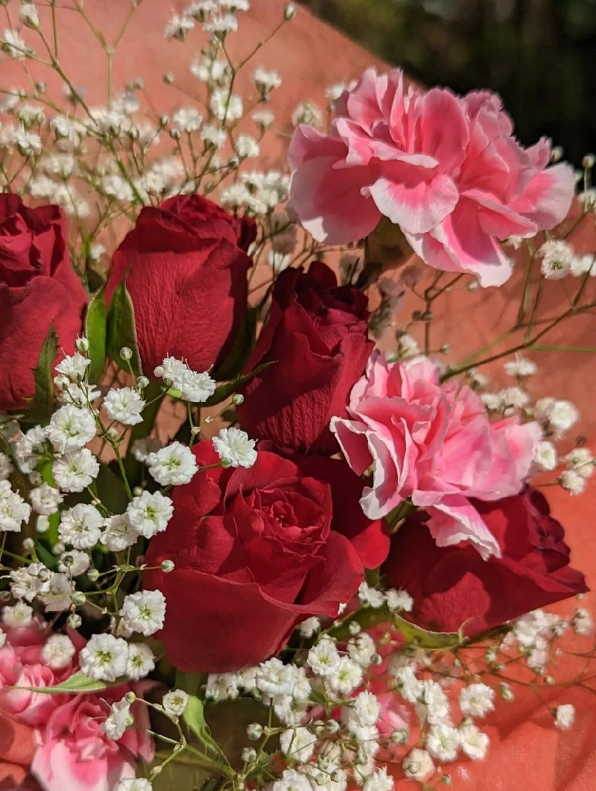 ジュンラピュルテ 磯部のその他イメージ