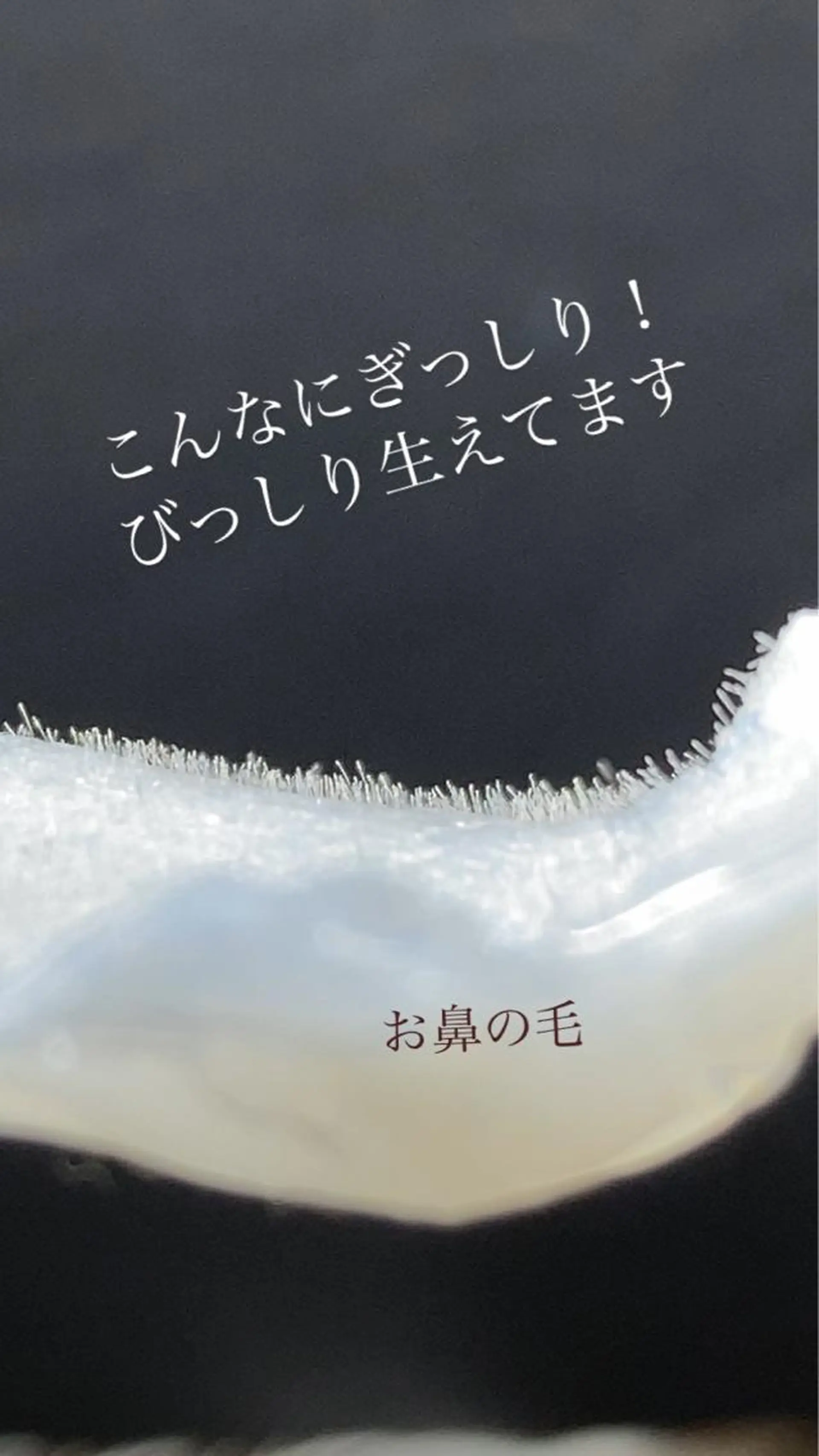アイブロウ 【薬院】まつげ 眉毛のマツエク・マツパデザイン