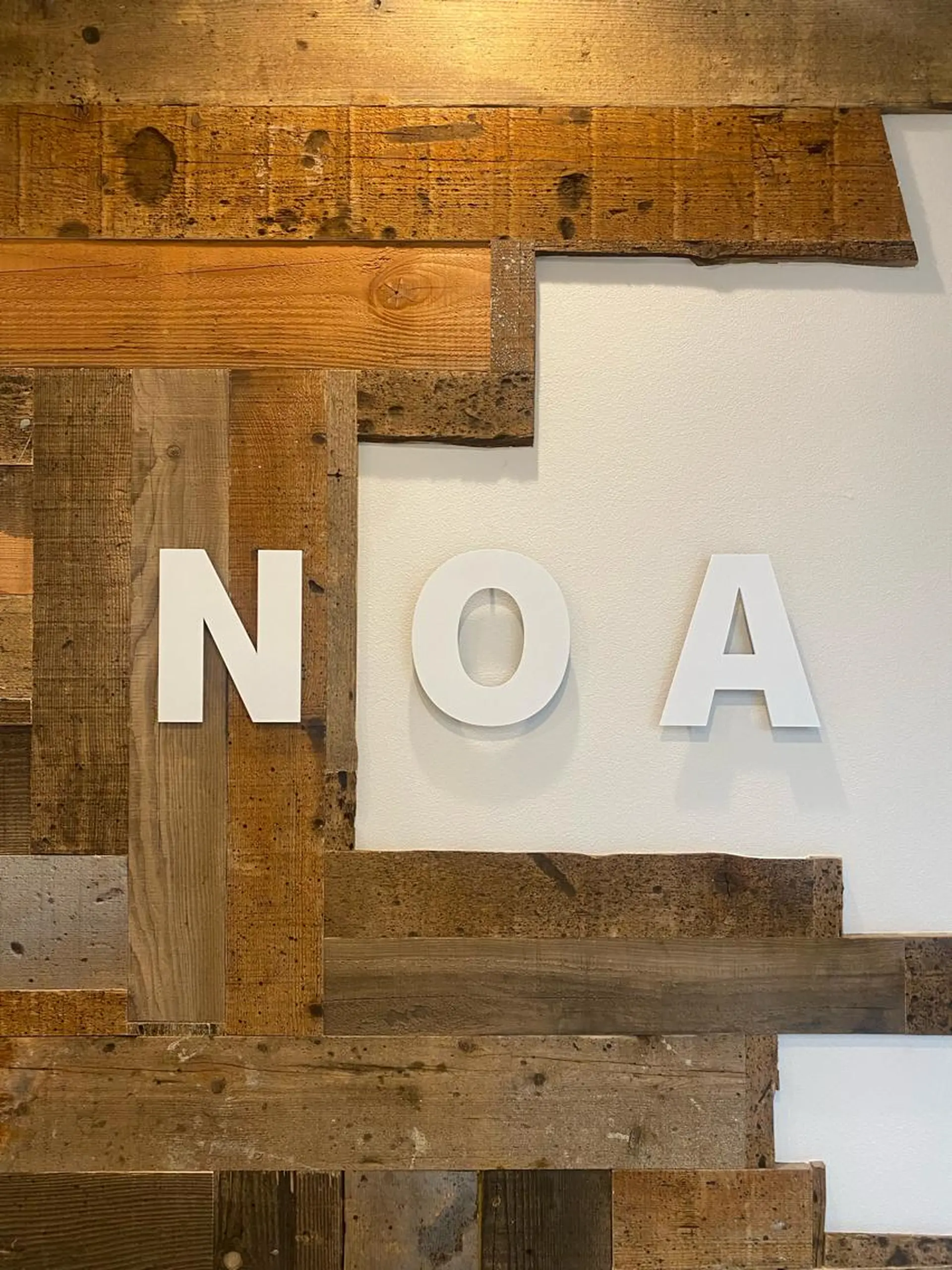 ミディアム カラー パーマ NOA所属・NEW OPEN✂︎ スタイリスト 林風香のヘアスタイル