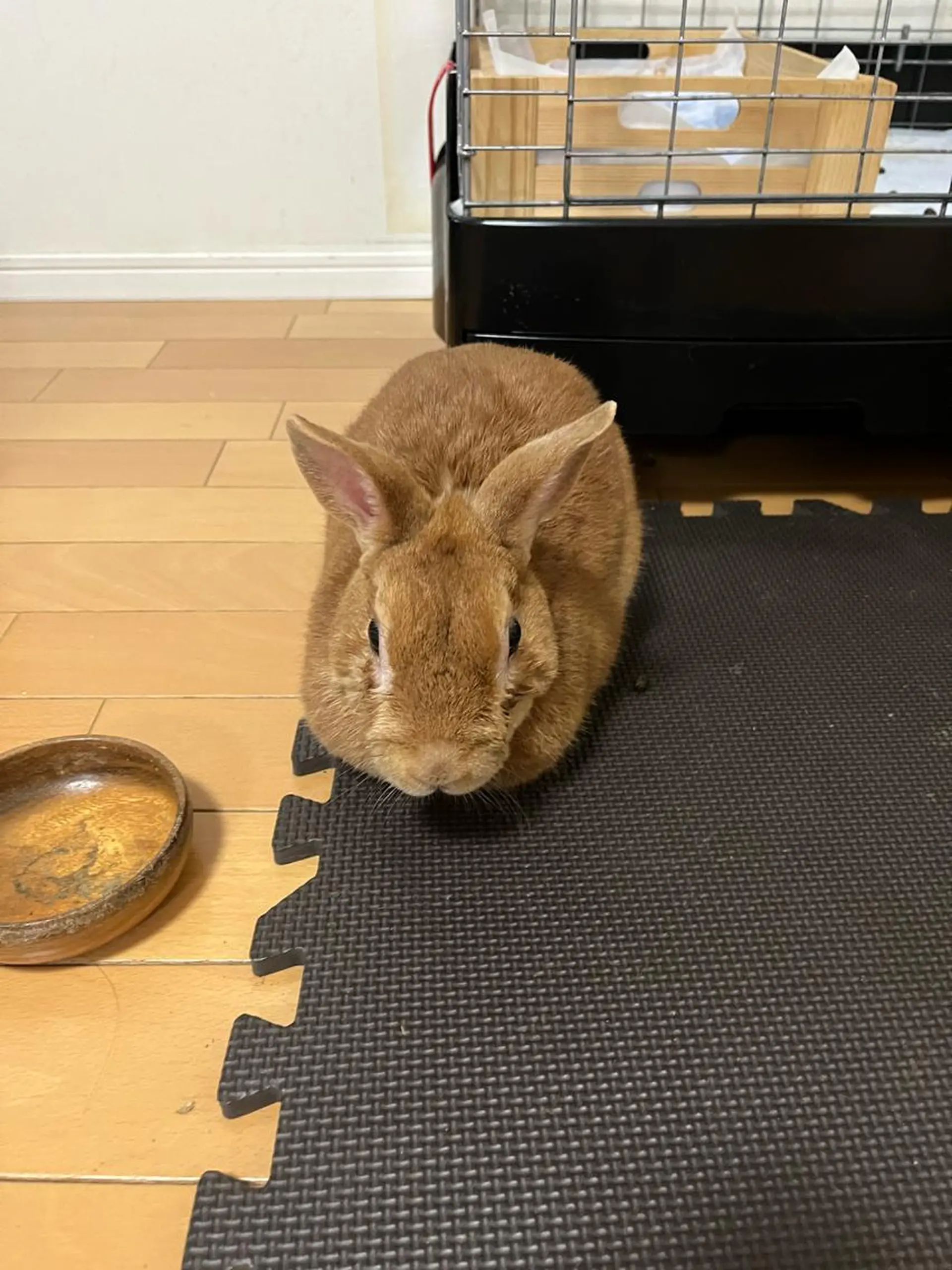 マツエク・マツパ Sona hair & eyelash salon所属・紙屋 隼人のヘアスタイル