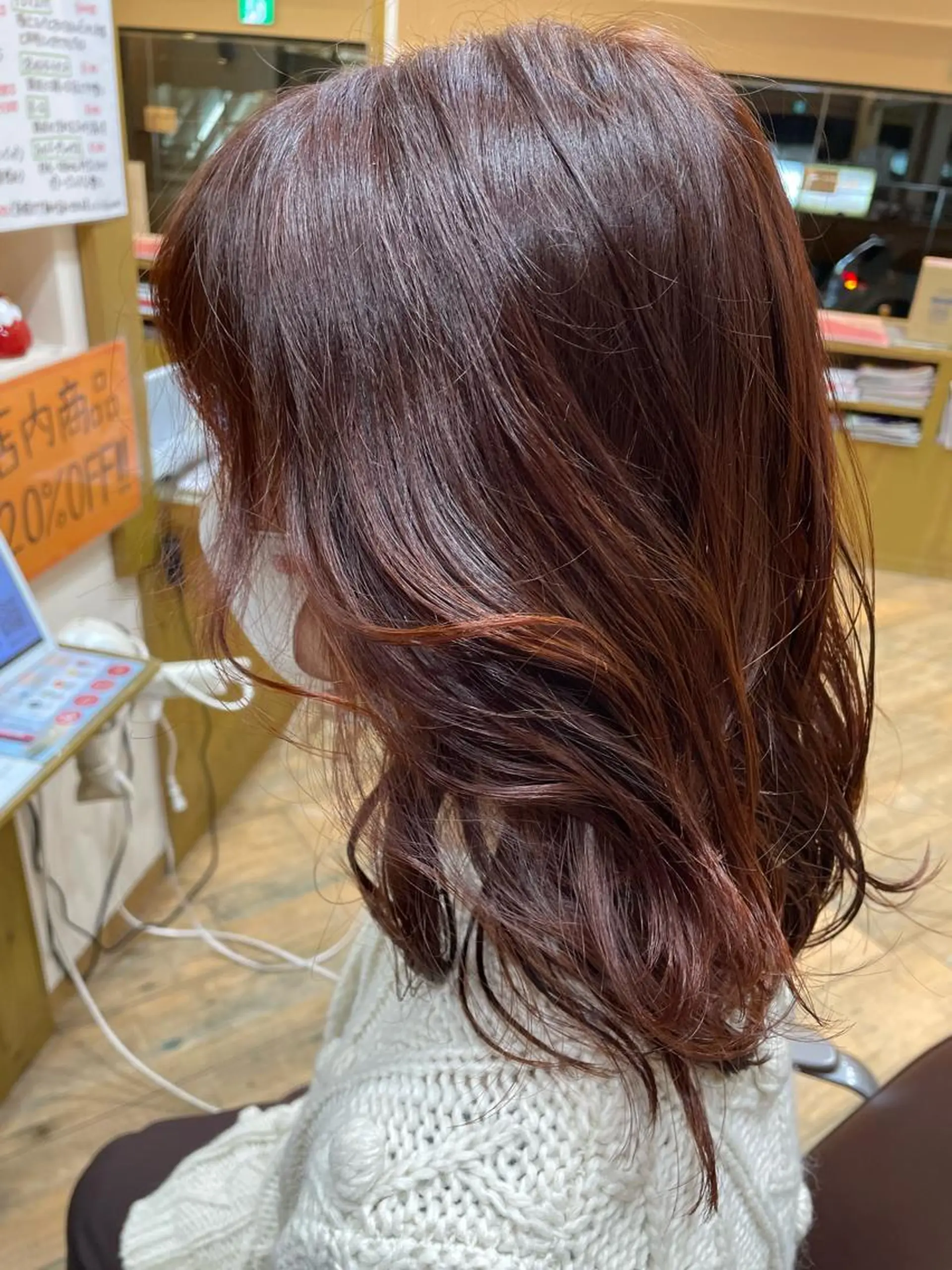 セミロング カラー ショートカット /堀内波玲のヘアスタイル