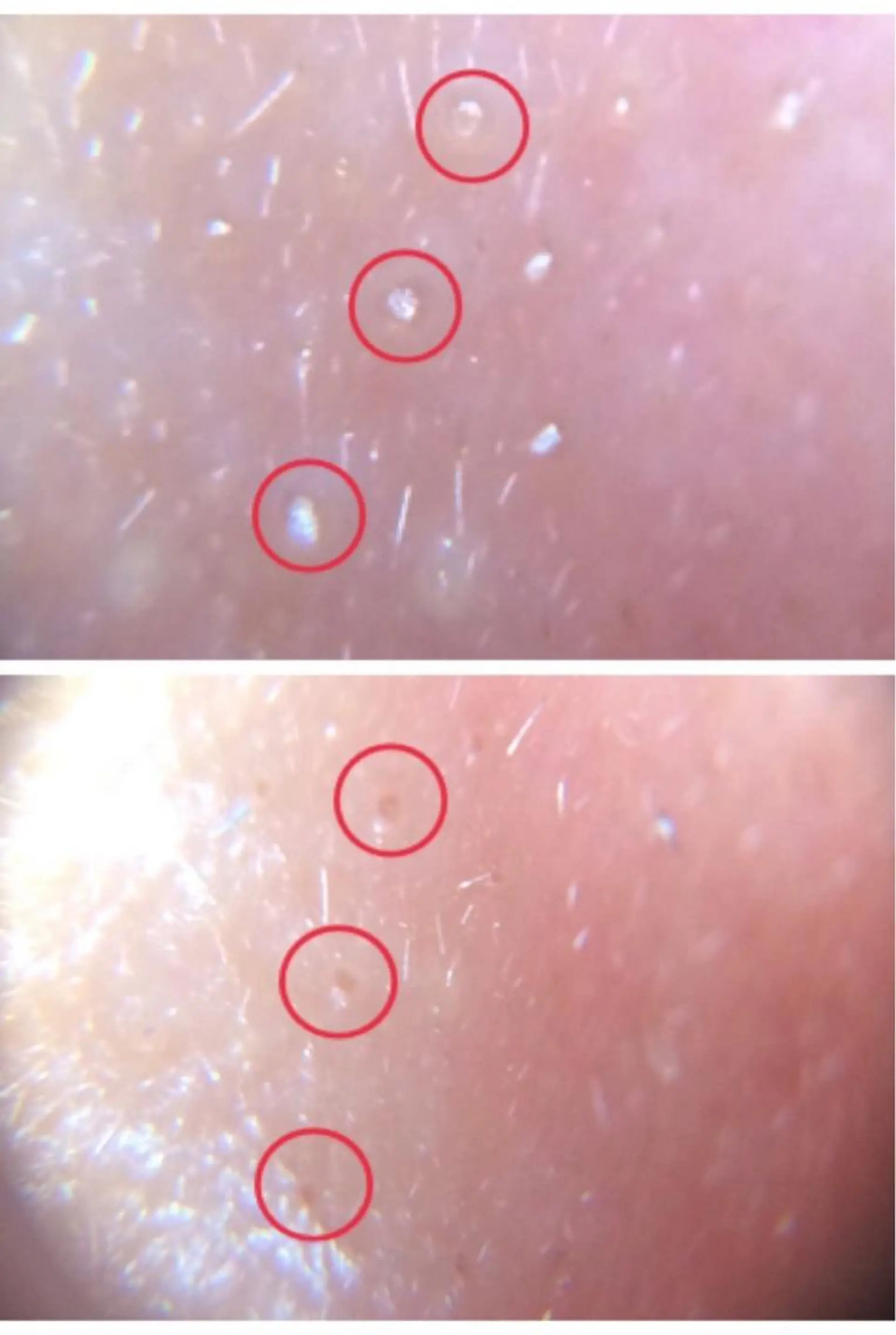 エステ 斉藤 絵梨のエステ・リラクイメージ