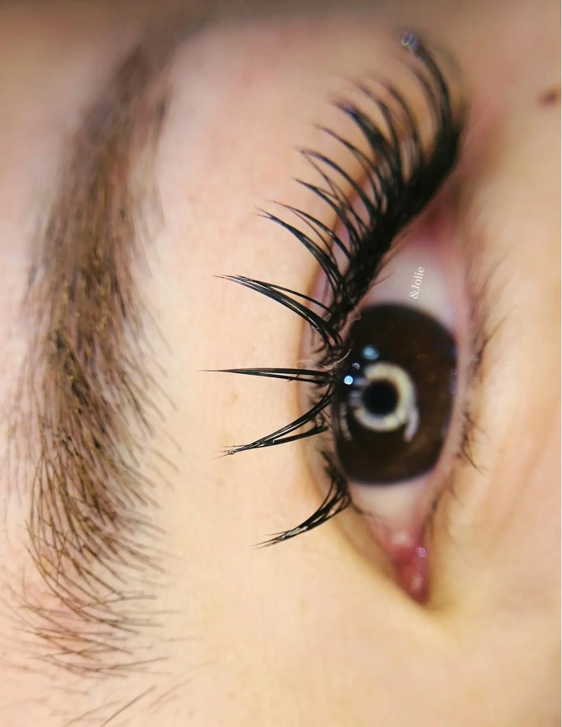 マツエク・マツパ ナチュラル マツエク &Jolie beauty  salon所属・＆Jolie スタッフのマツエク・マツパデザイン