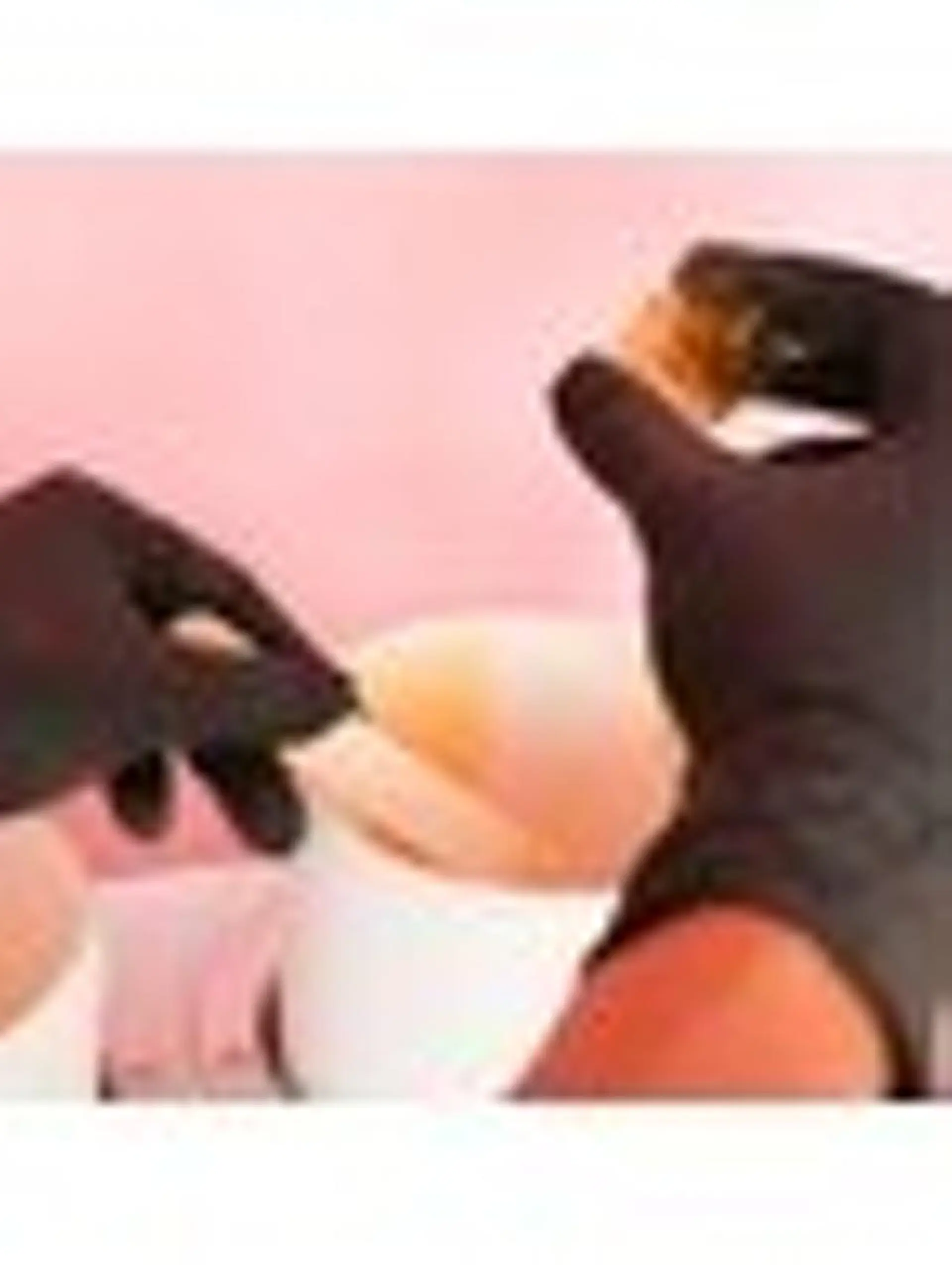 脱毛 美脚マエストラ 上野由理のその他イメージ