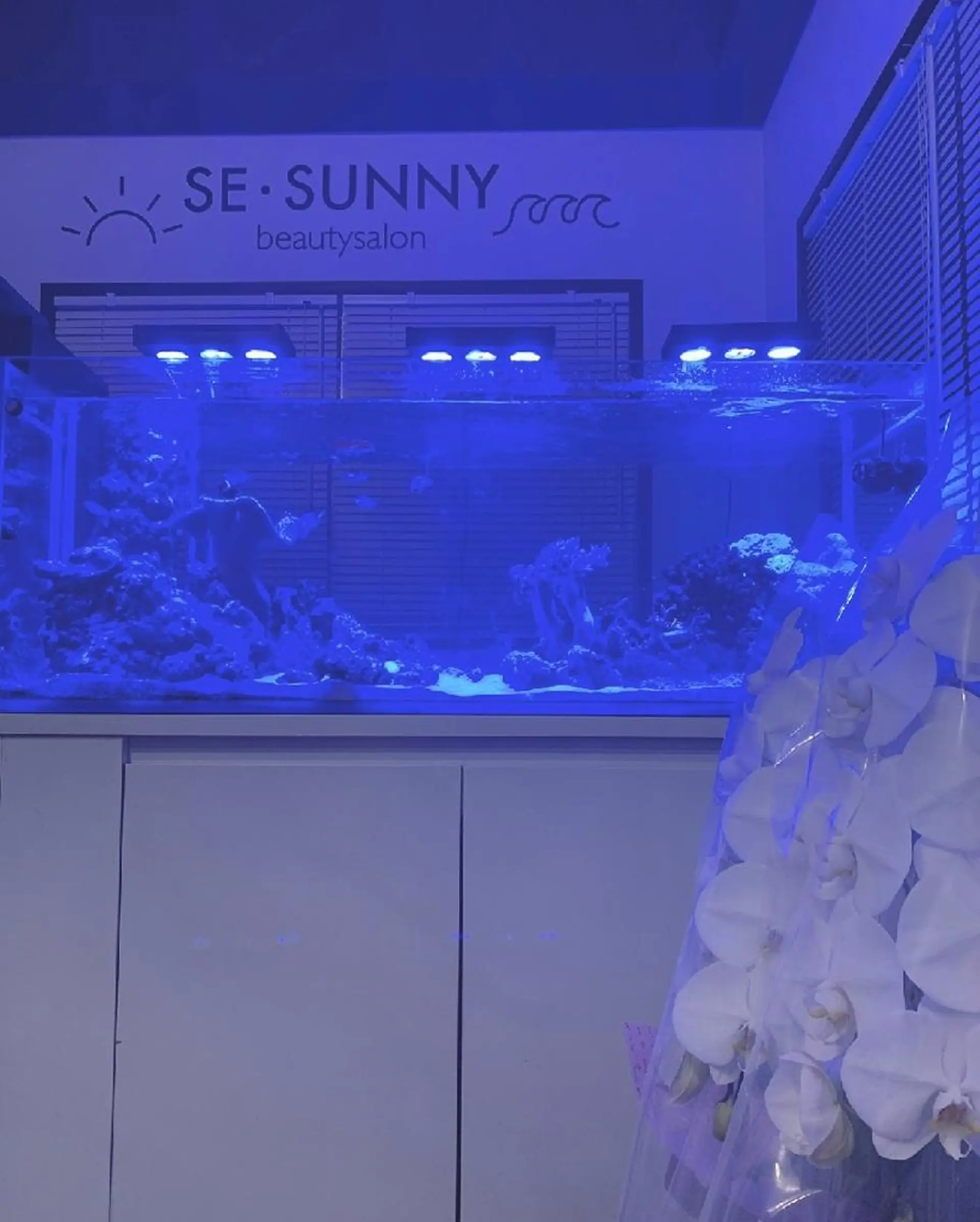 SESUNNY セサニー SEIRAのマツエク・マツパデザイン