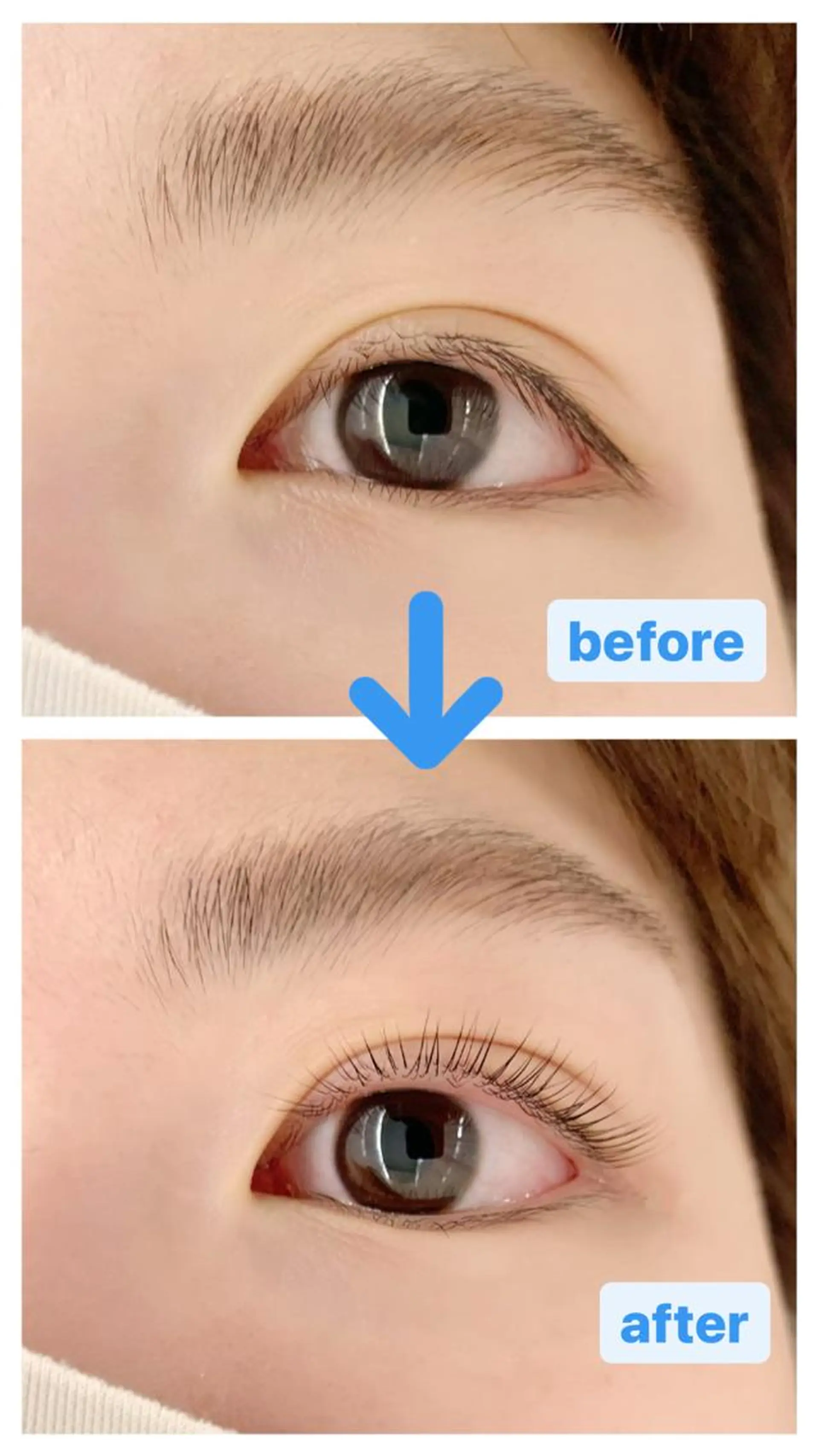 マツエク・マツパ パリジェンヌラッシュリフト 【ぱっちり職人】 店長 矢吹のマツエク・マツパデザイン