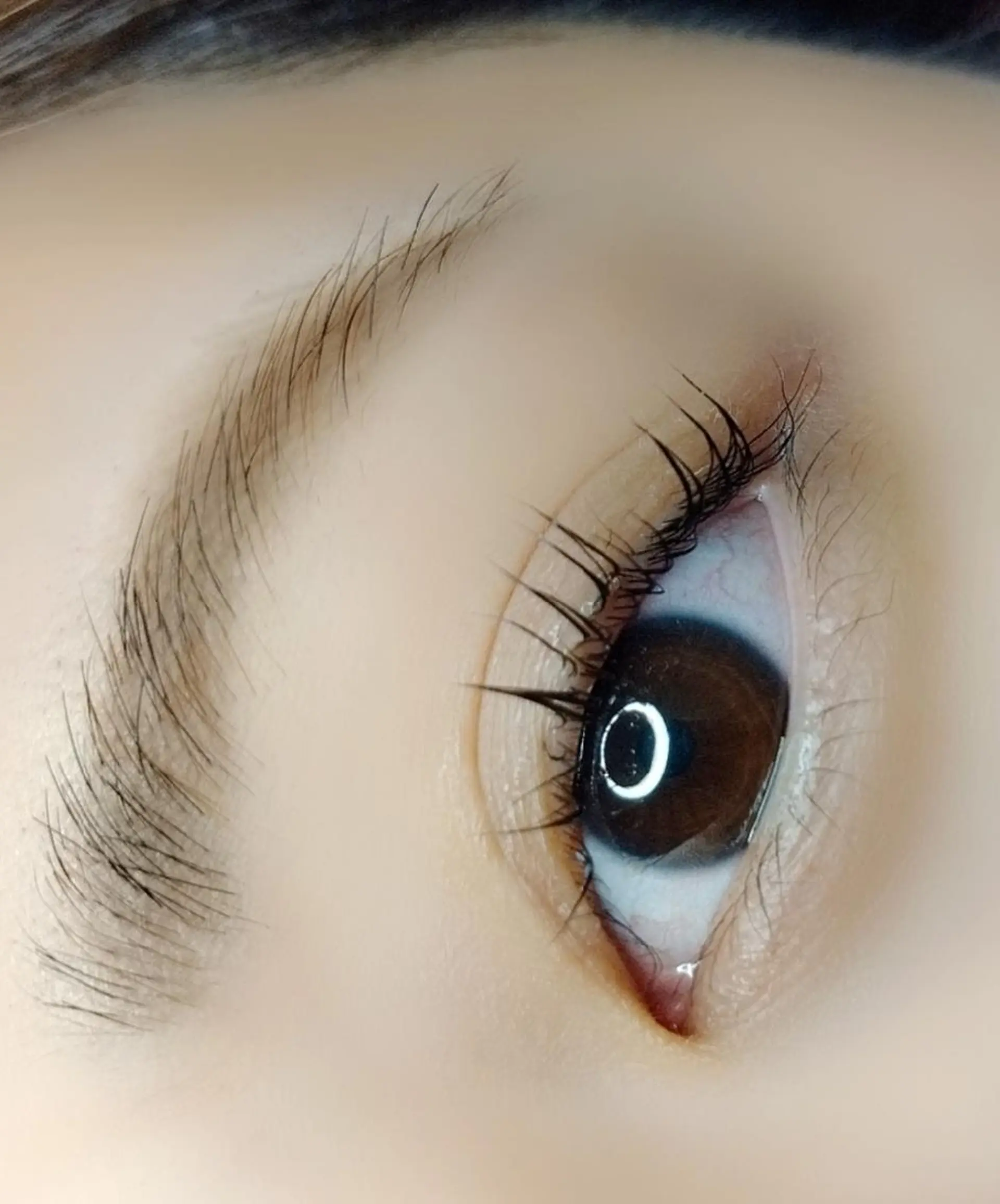 マツエク・マツパ まつげパーマ maison calmeのマツエク・マツパデザイン