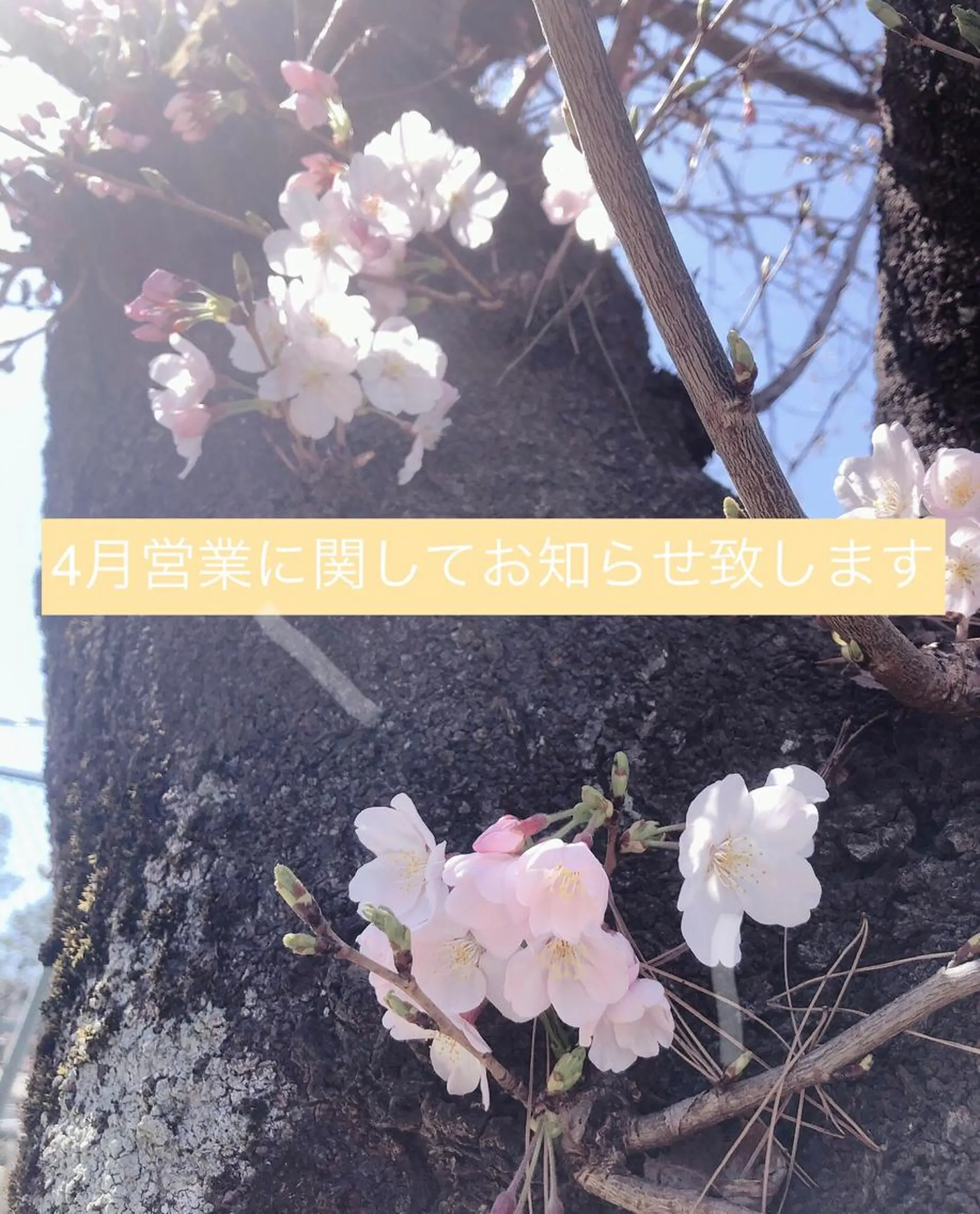 ネイル 北浦和 自爪育成ケアのネイルデザイン