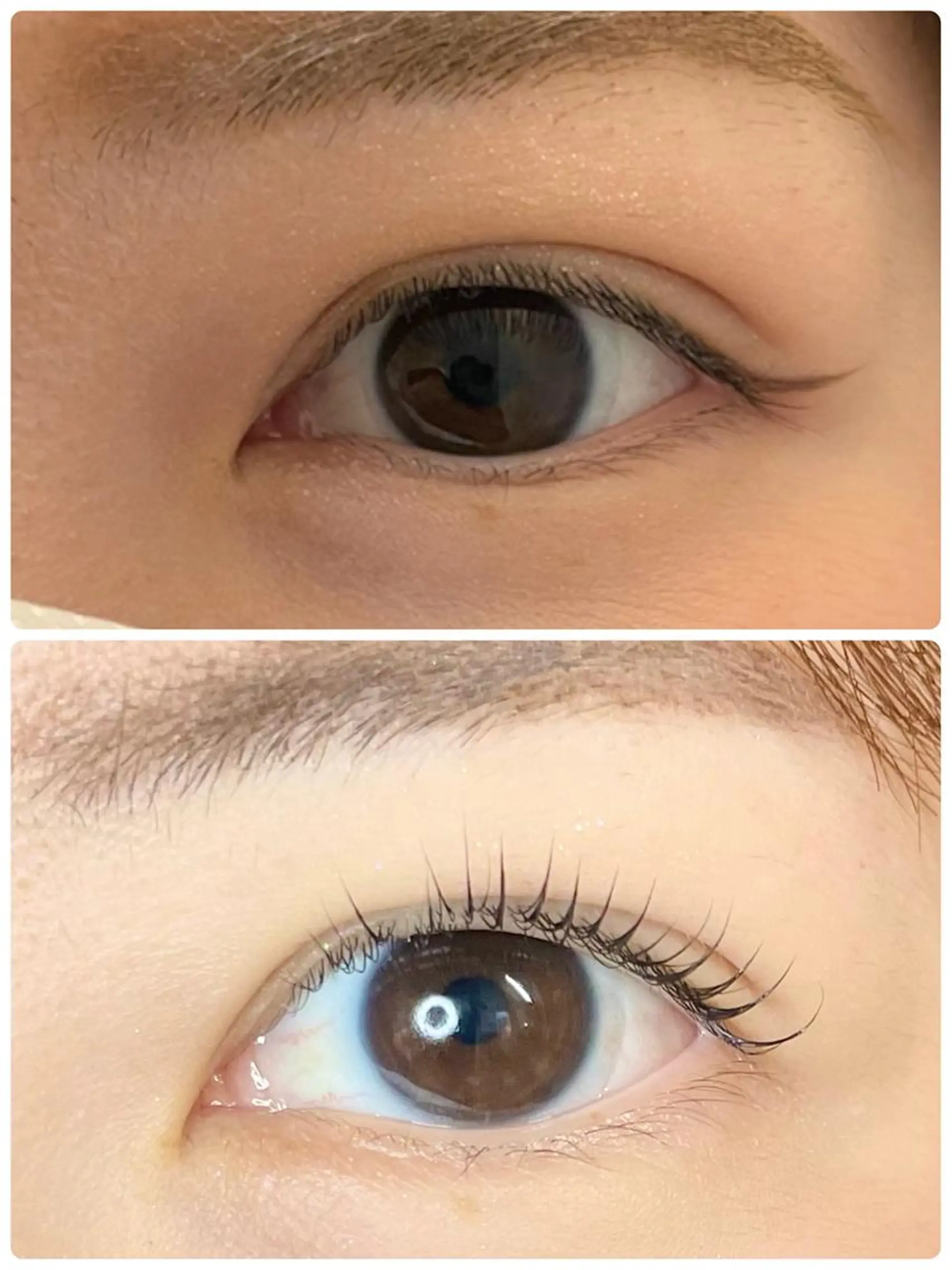 ミディアム カラー パーマ ヘアアレンジ メンズ キッズ ネイル マツエク・マツパ アイブロウ Cカール ナチュラル マツパ nail&eye Aoのマツエク・マツパデザイン