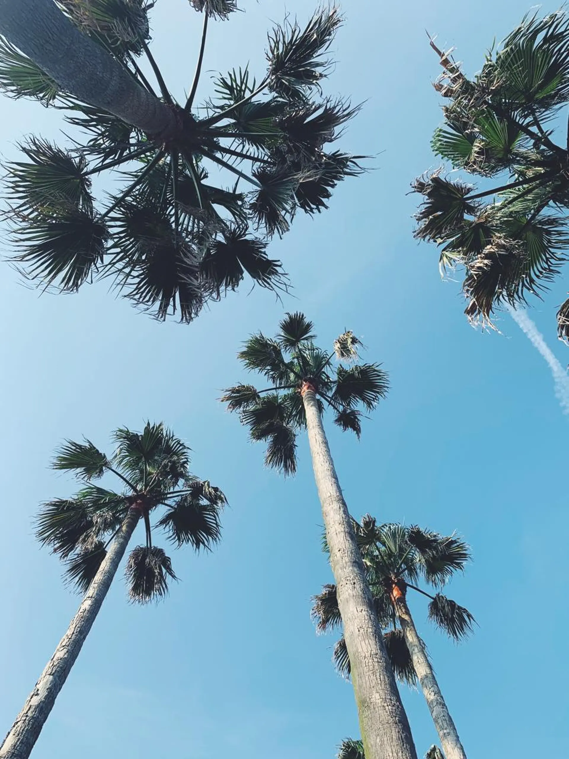 𝐘𝐎𝐒𝐇𝐈 𝐌𝐈🌞🏝のマツエク・マツパデザイン