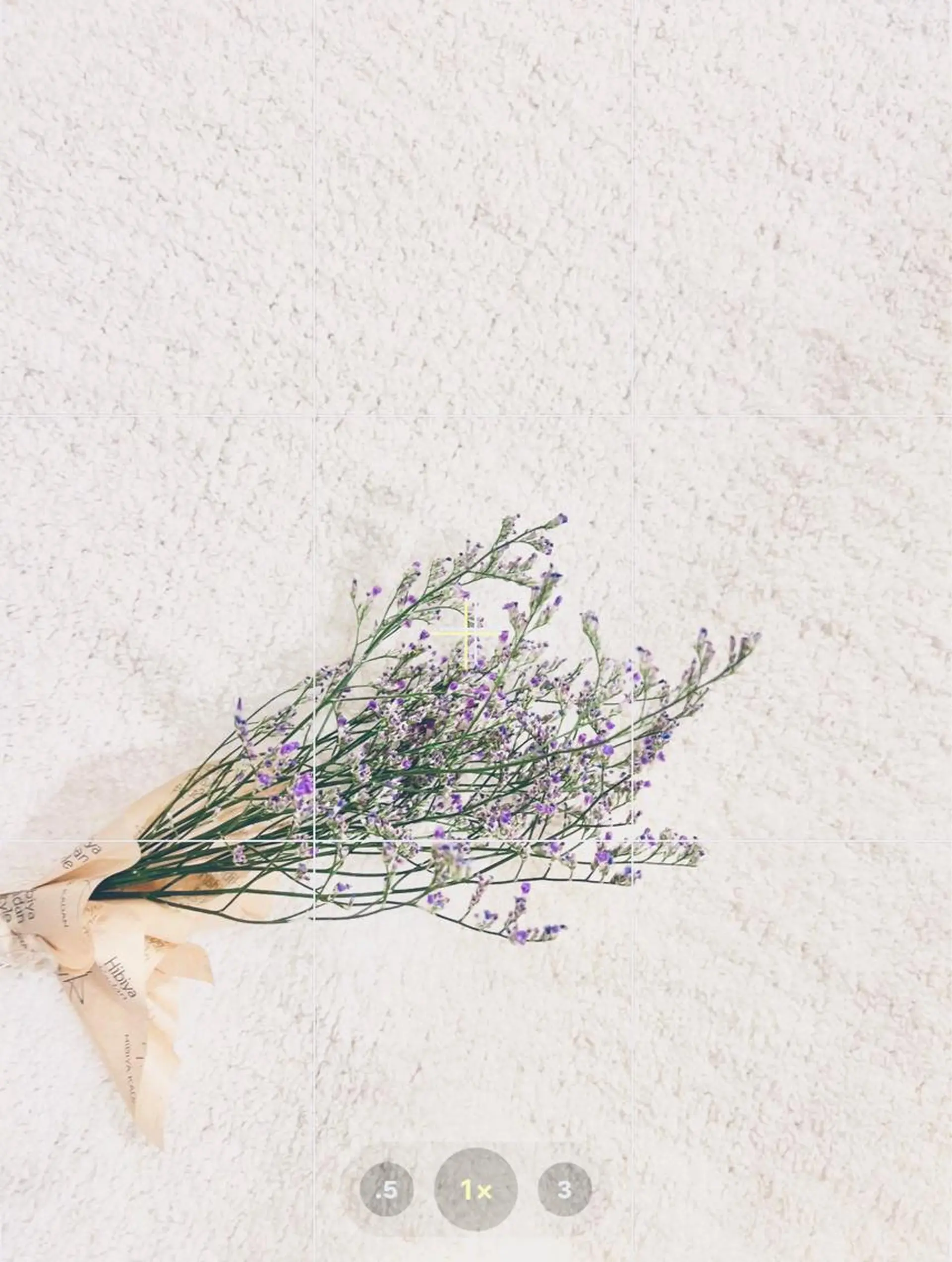 マツエク Largo🌿 明治神宮前／表参道のマツエク・マツパデザイン