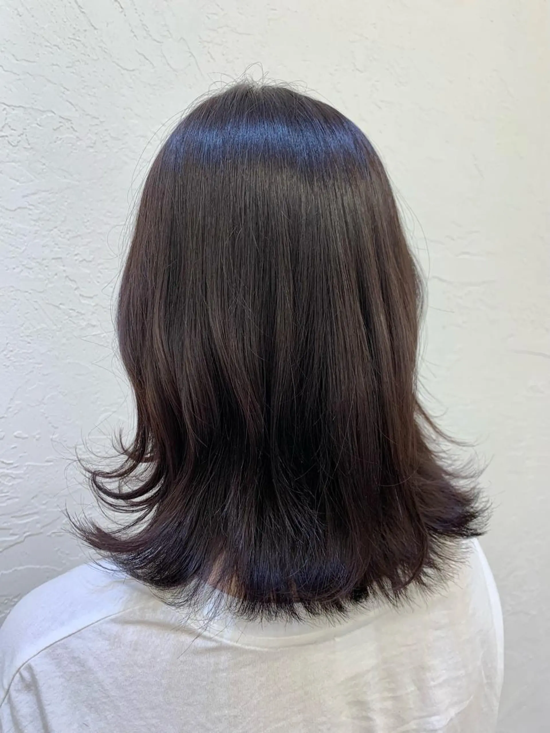 ミディアム カラー レイヤー/透明感 🍃鈴木裕介のヘアスタイル