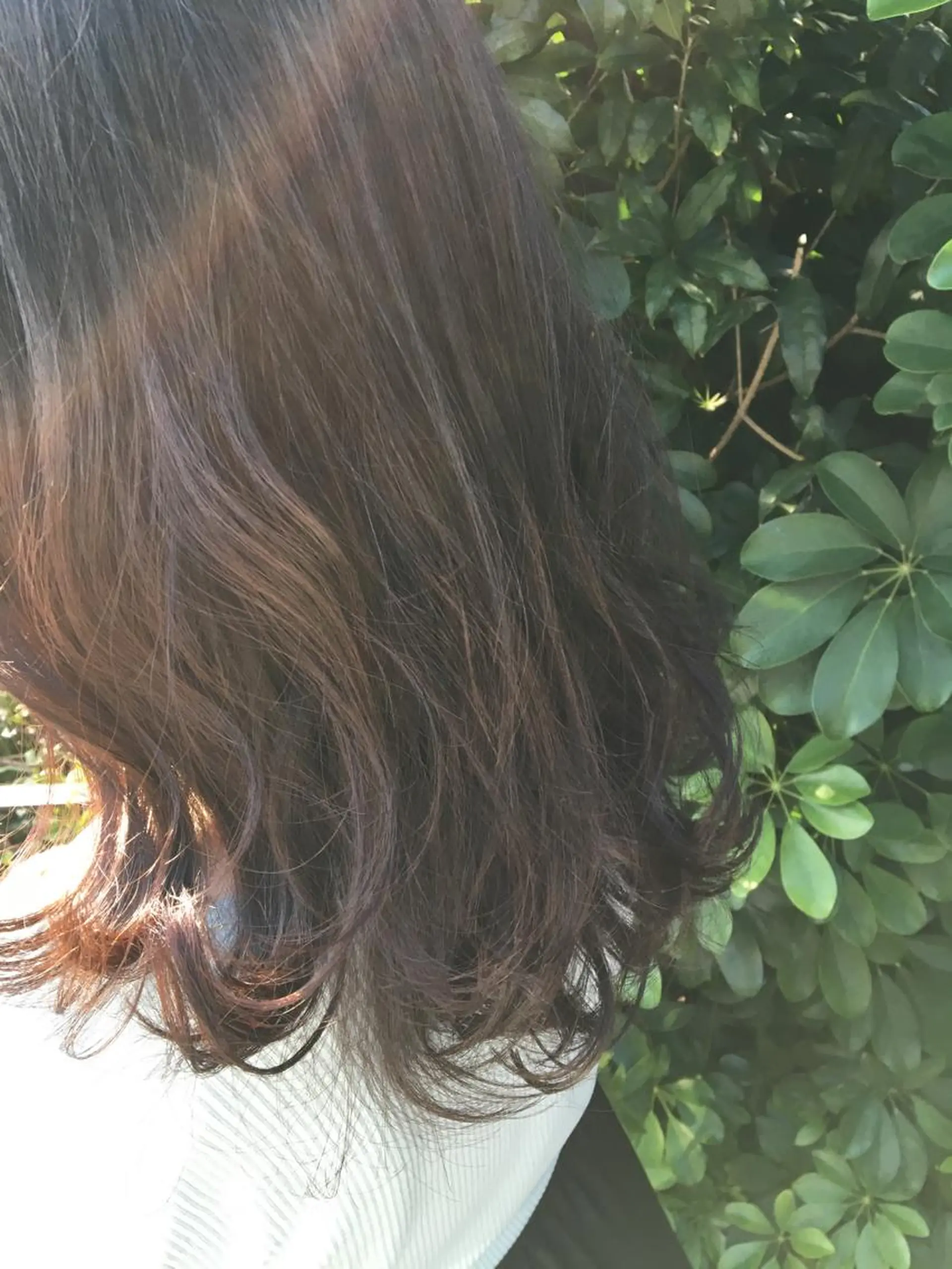 ミディアム カラー THE DAY所属・AKI HASHIMOTOのヘアスタイル