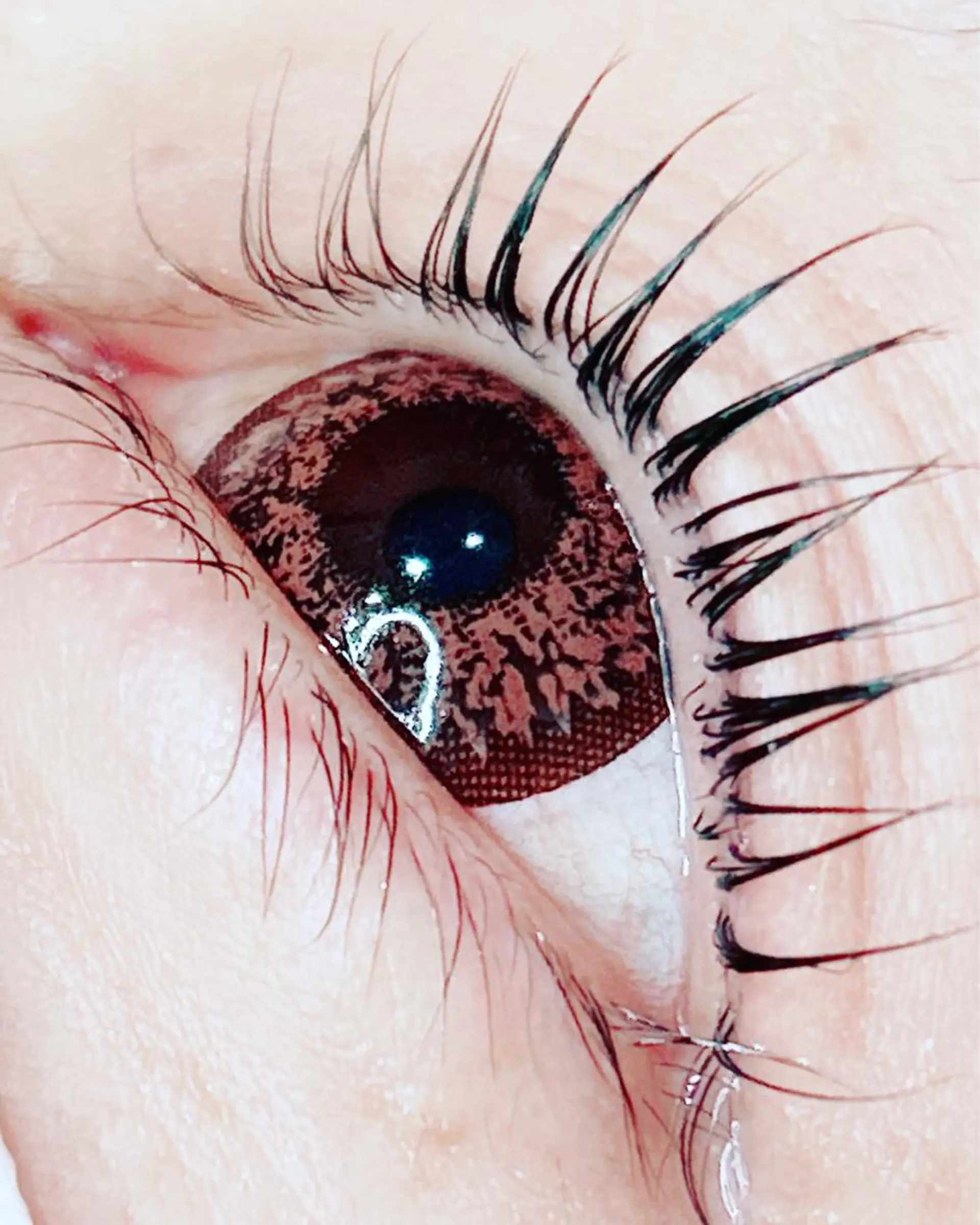 マツエク・マツパ crown KIYOMIのマツエク・マツパデザイン