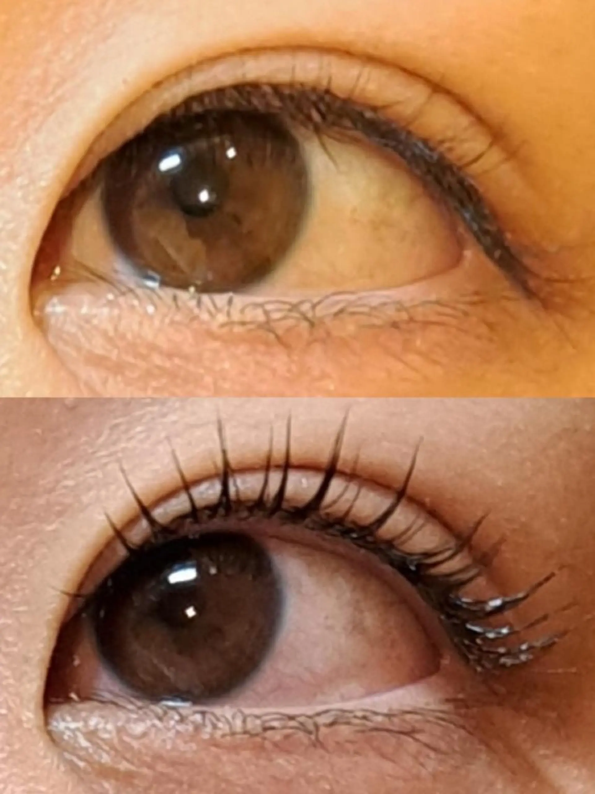 マツエク・マツパ パリジェンヌラッシュリフト マツパ トータルビューティー  バルフィット所属・冨永 小絵のマツエク・マツパデザイン