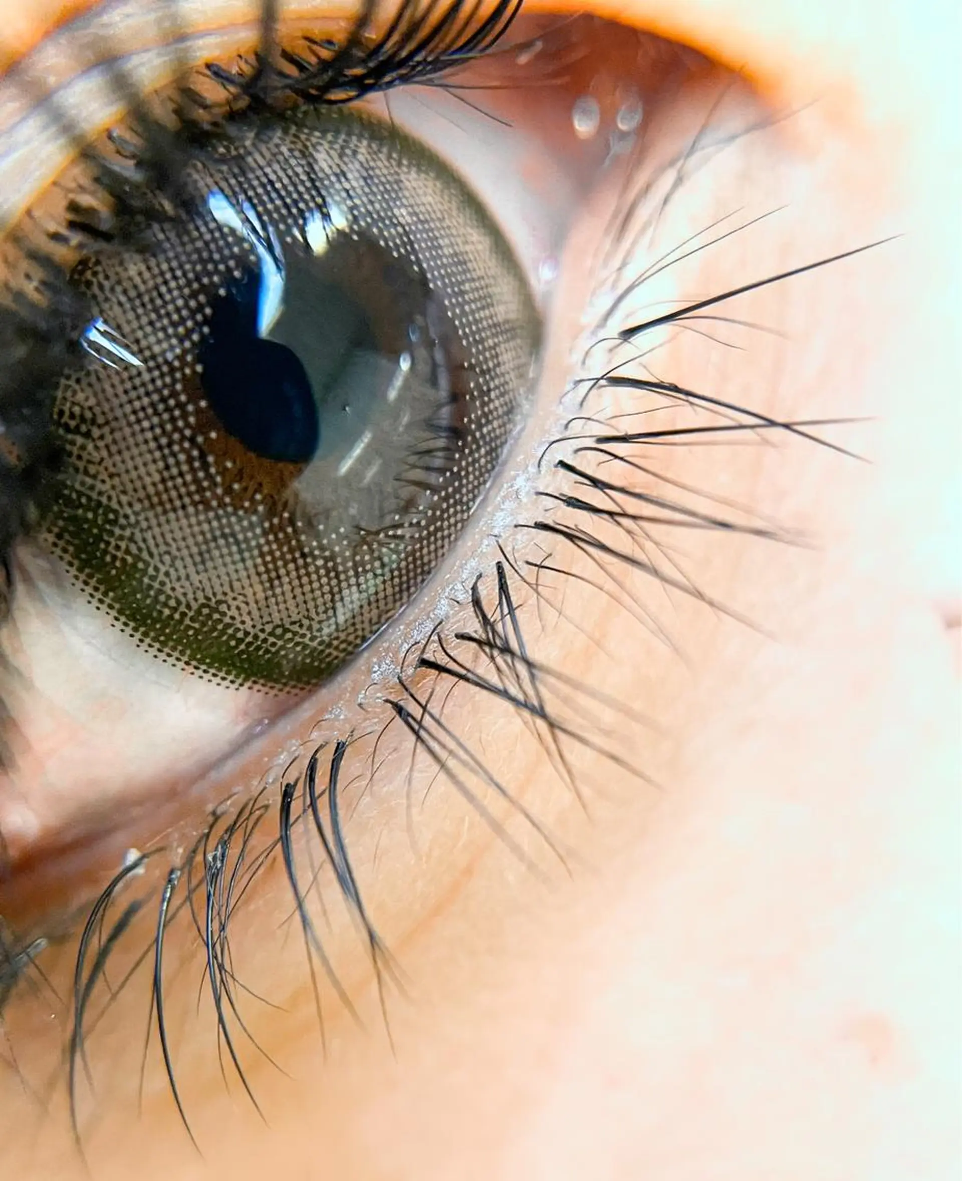 マツエク・マツパ 下まつげエクステ 千葉中央/まつげ 大会日本一獲得のマツエク・マツパデザイン