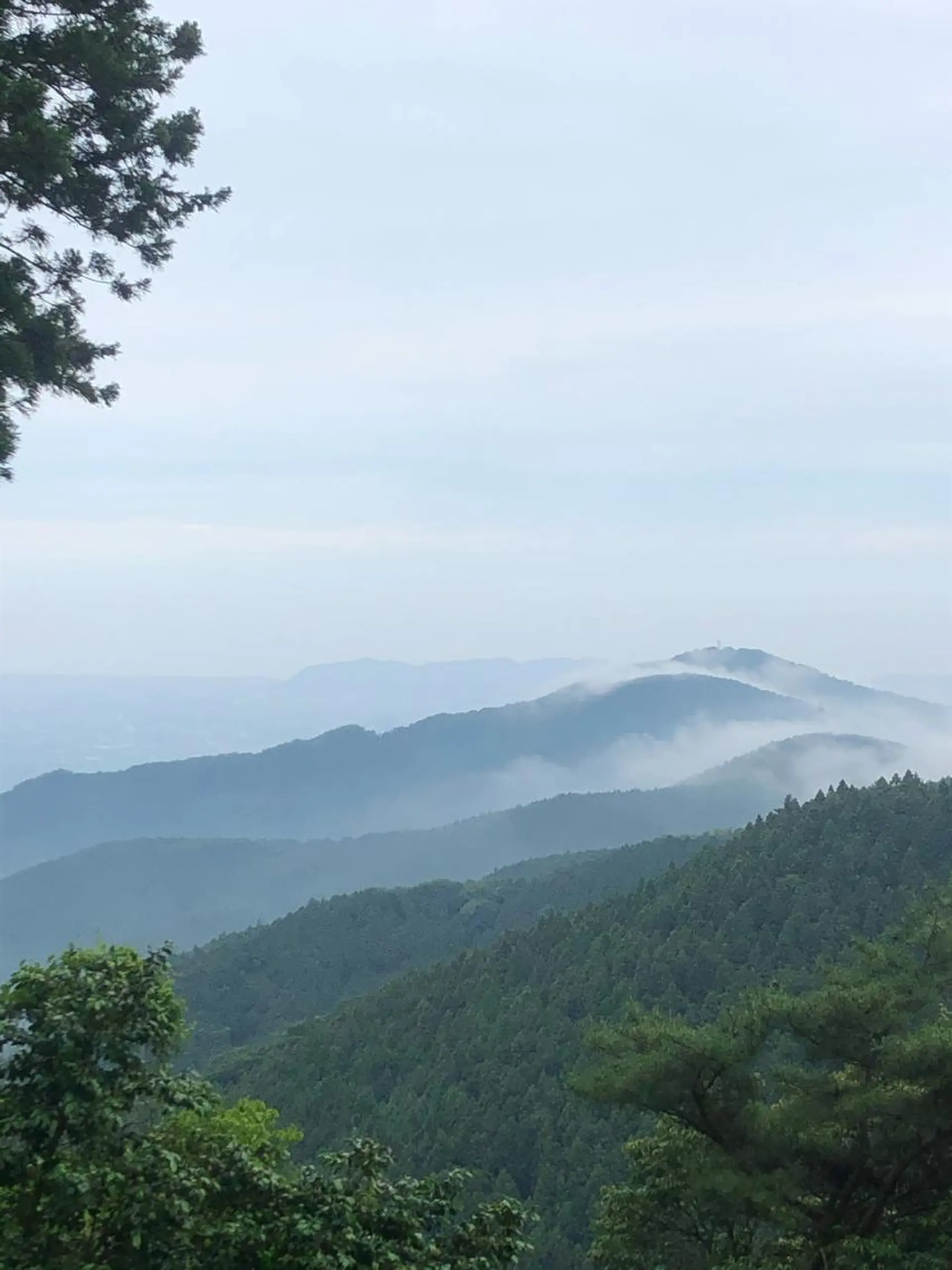 モダーン北鎌倉所属・中溝 アカリのヘアスタイル