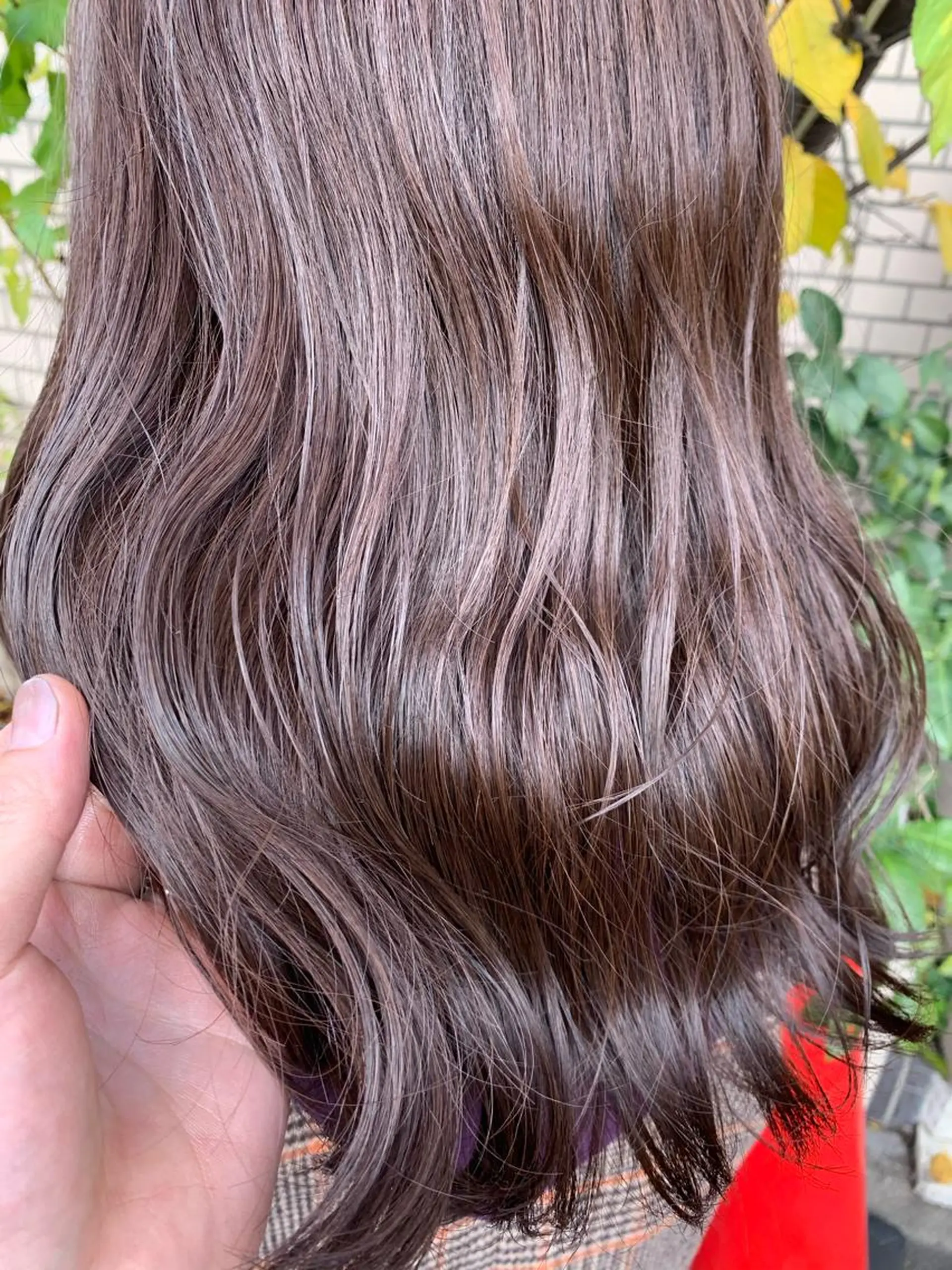 カラー 四ッ井 翔のヘアスタイル