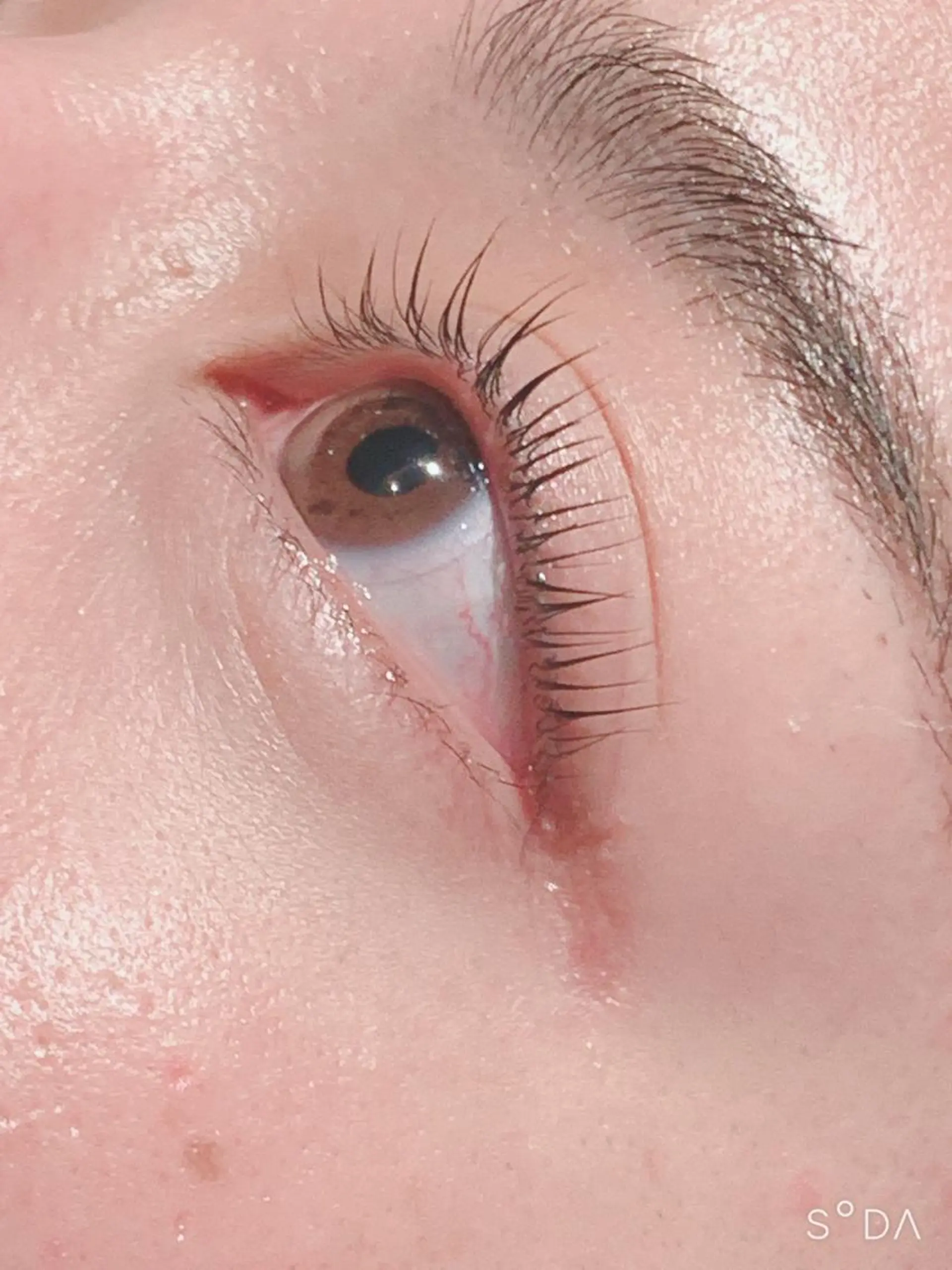 マツエク・マツパ パリジェンヌラッシュリフト 櫻井 佑美のマツエク・マツパデザイン