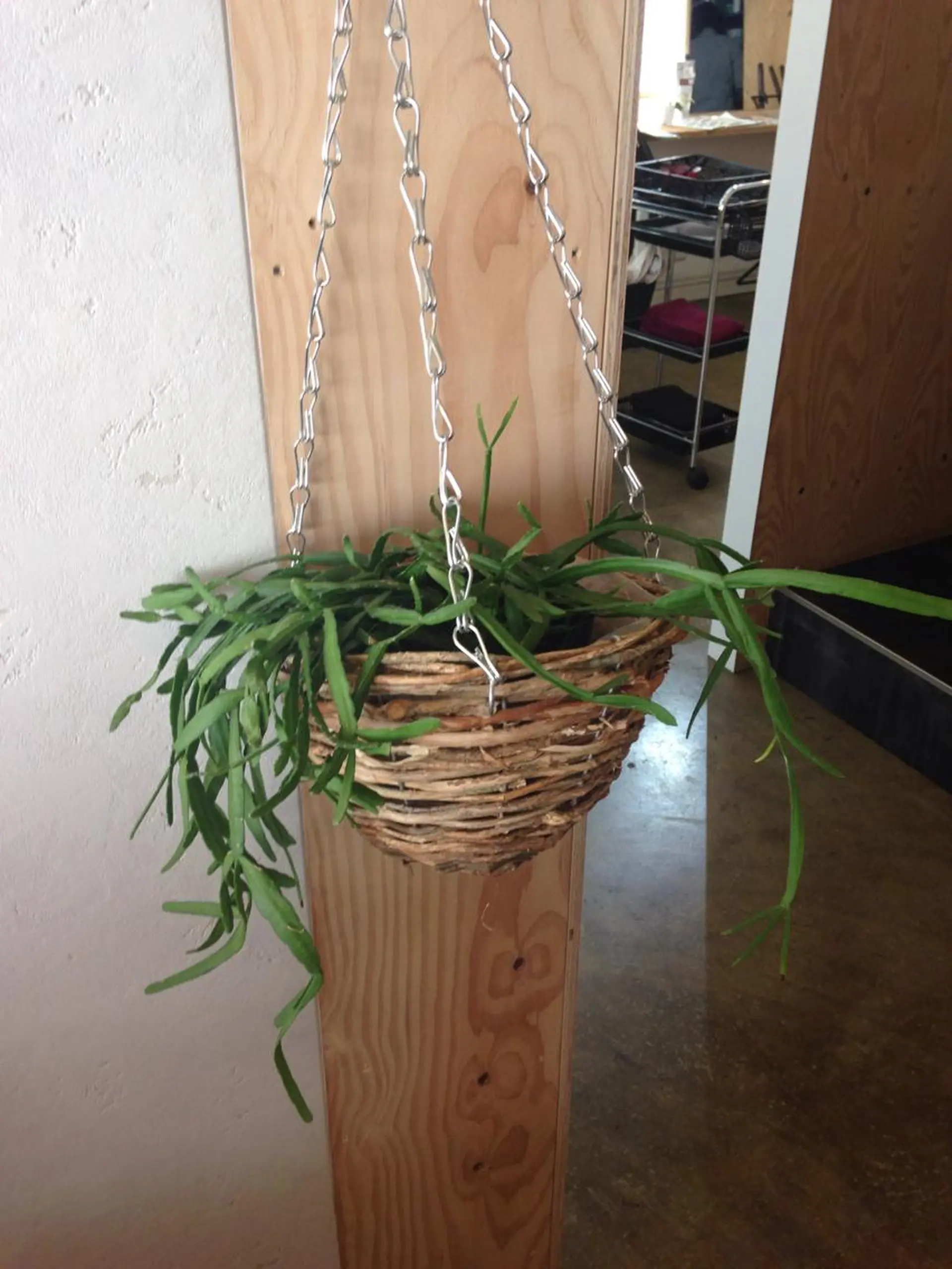 💎髪質改善💎 デザイナーshinのヘアスタイル