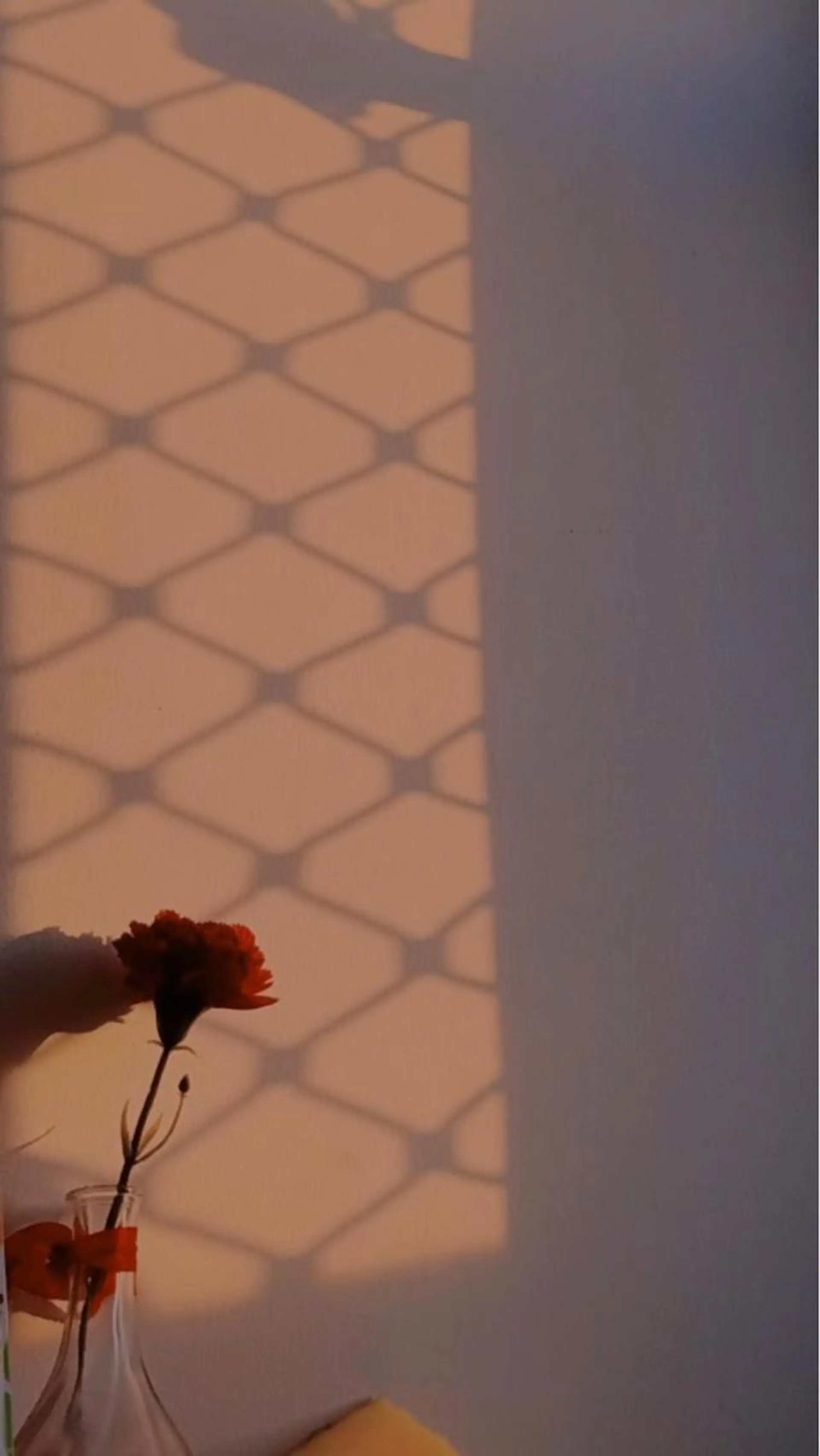 Iwasaki Nene☾店長のマツエク・マツパデザイン