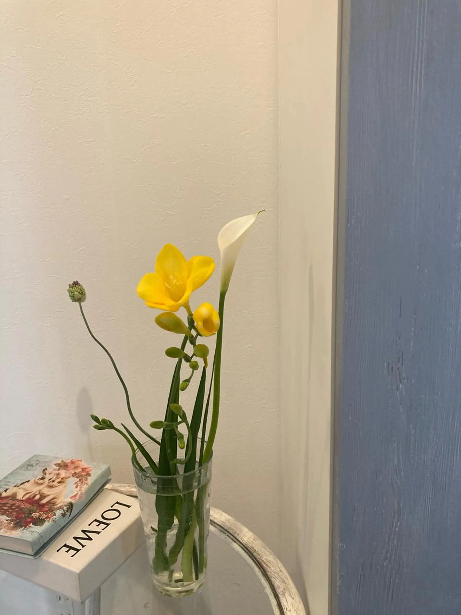 auladenail アウラデネイルのネイルデザイン