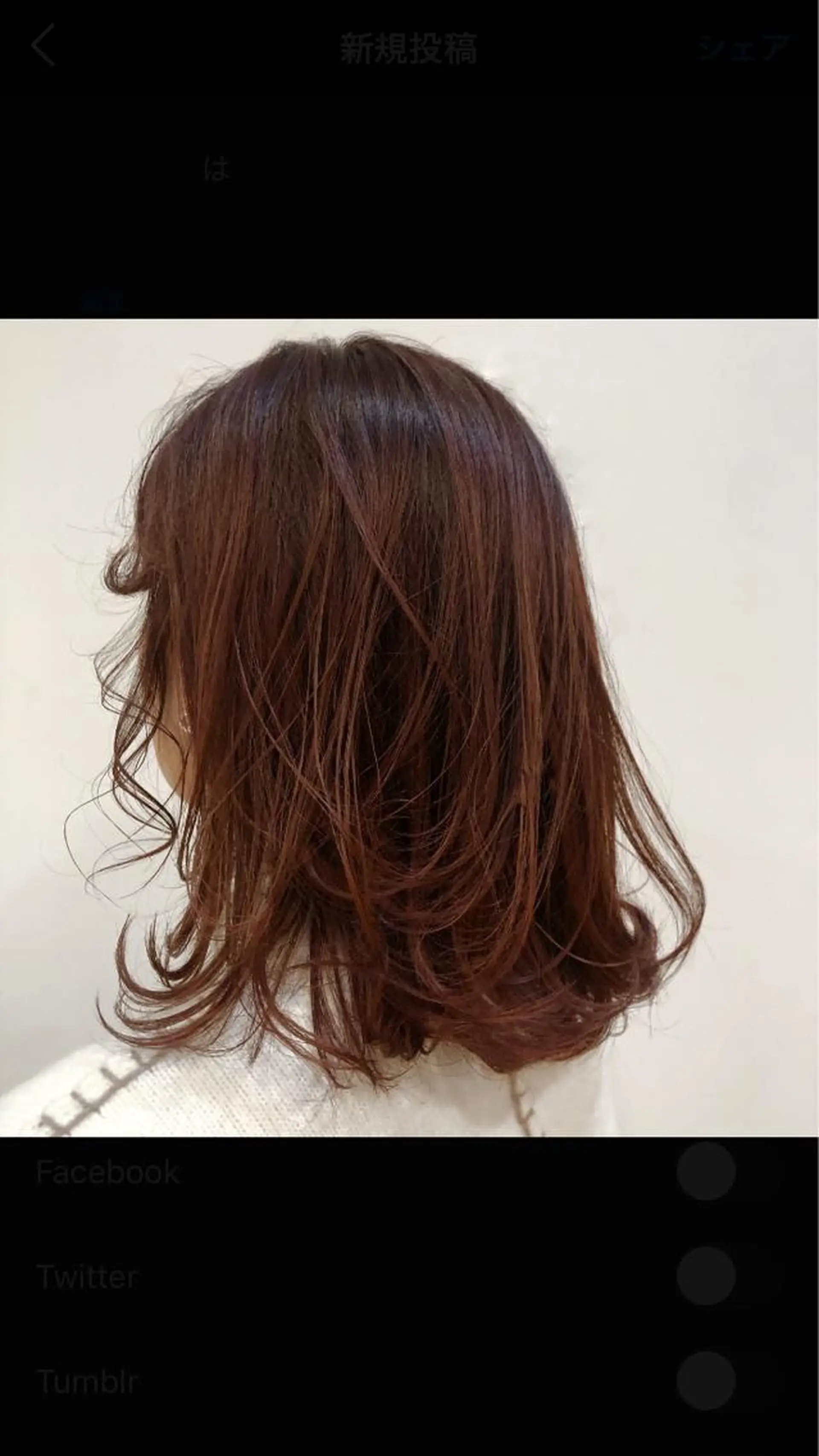 ミディアム rino🤍 恵比寿レイヤーカットのヘアスタイル