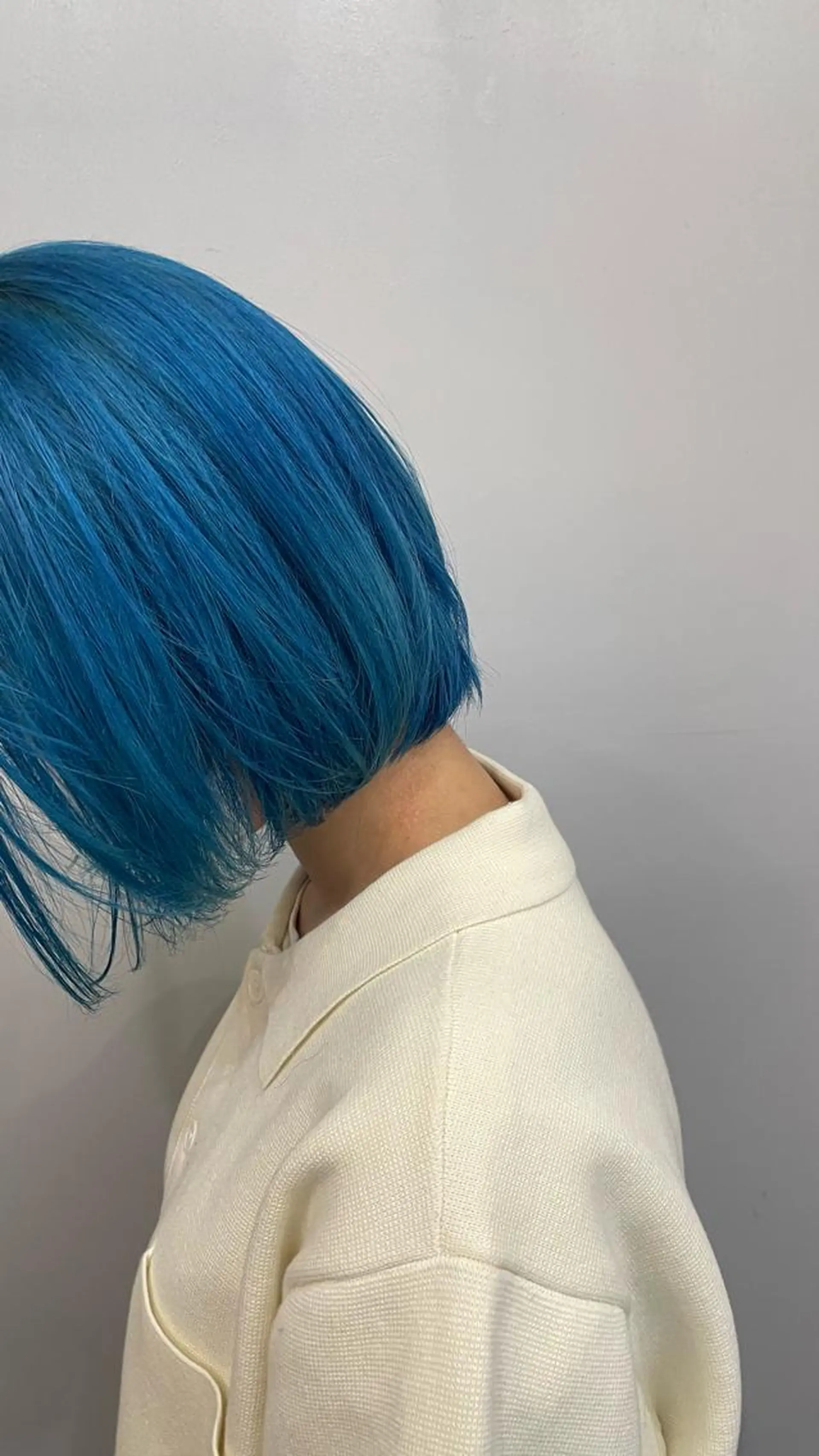 ショート カラー ヘアアレンジ ブルーカラー ヘアカラー トリートメント ヘアセット 💐ナチュラルヘア Kroda💐のヘアスタイル