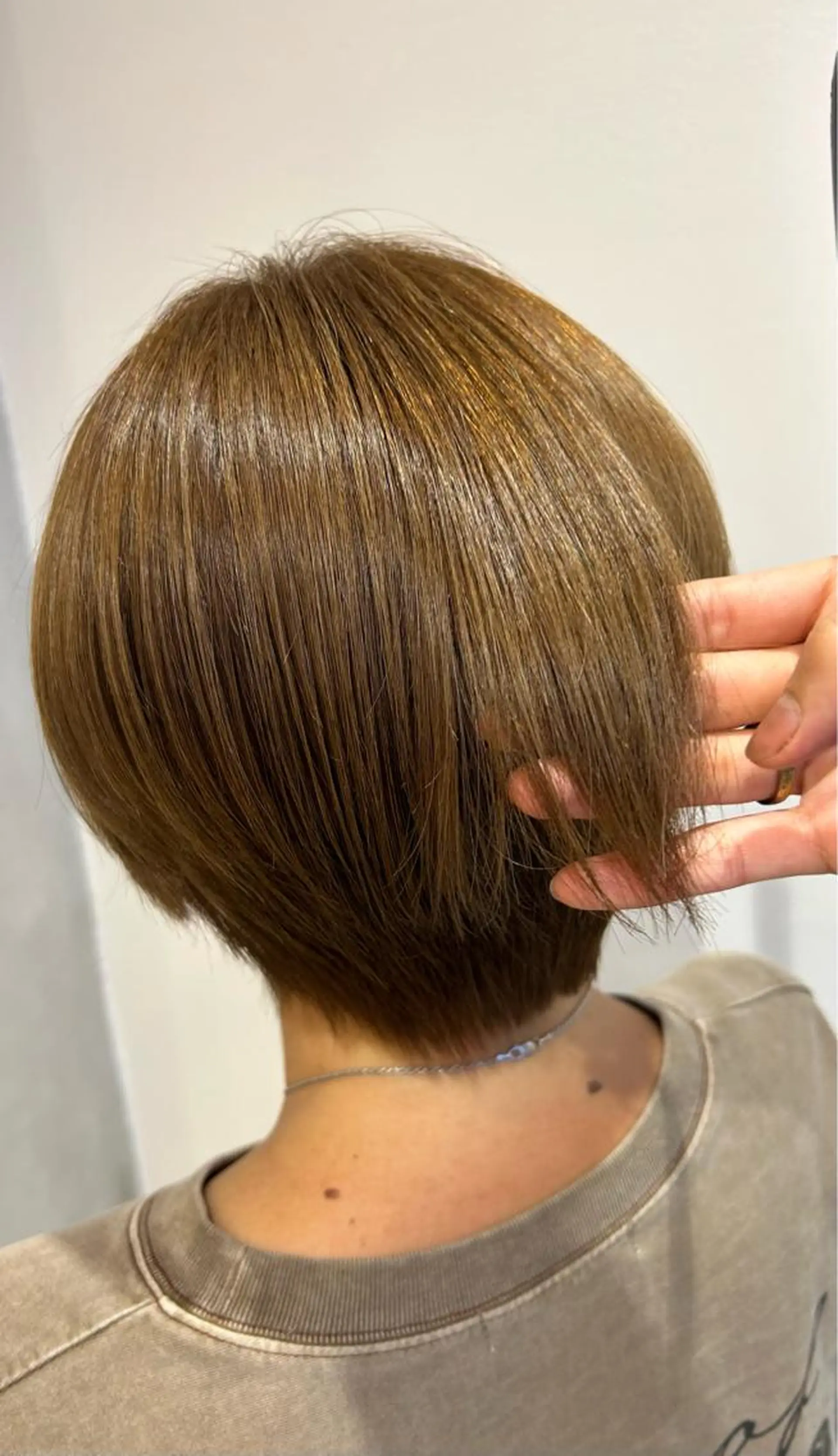 ショート カラー 艶カラー/レイヤー 🦋AKARI🦋のヘアスタイル