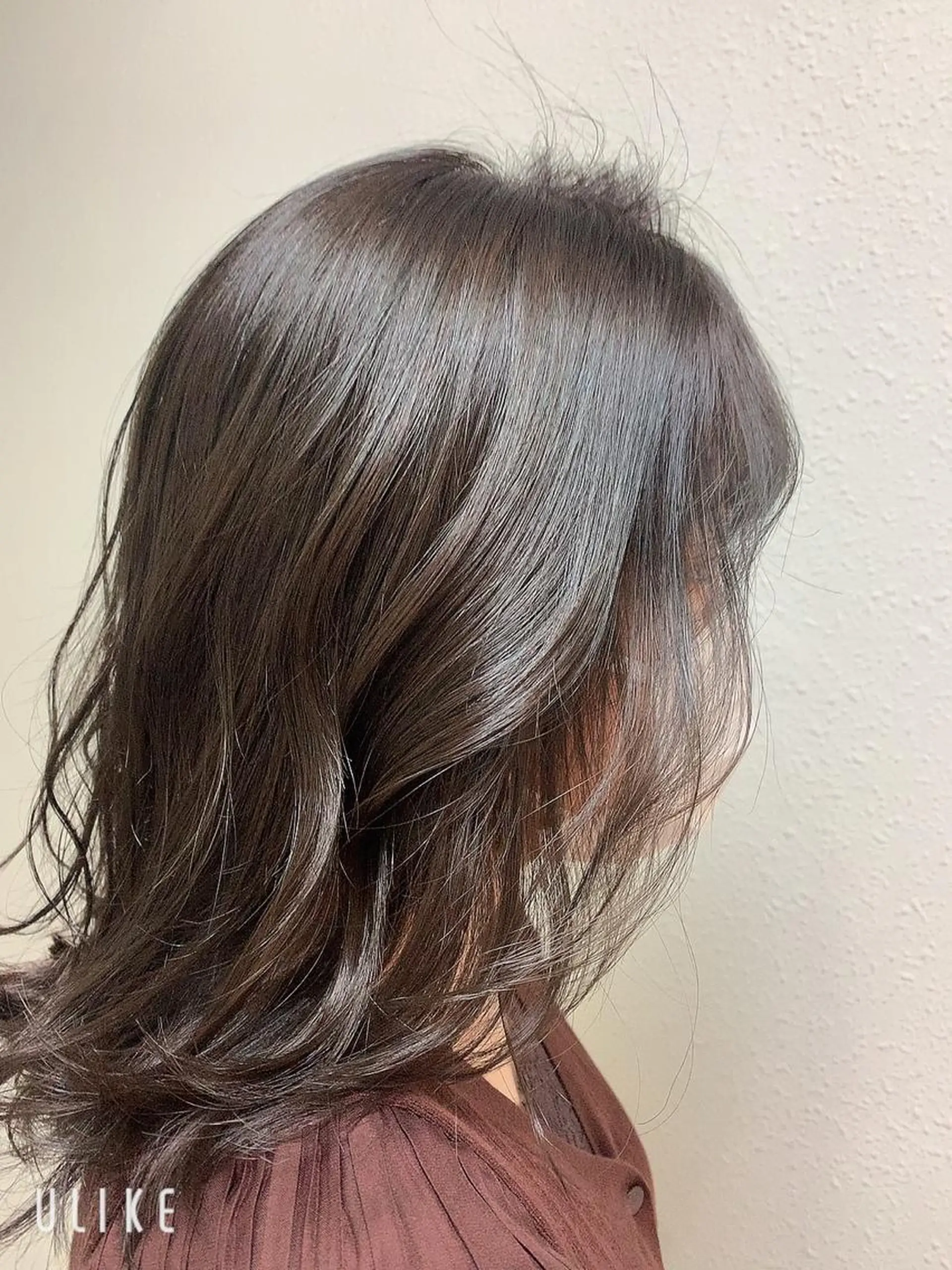 セミロング エンドウ　ミノリ🤎 /半個室/レイヤーのヘアスタイル