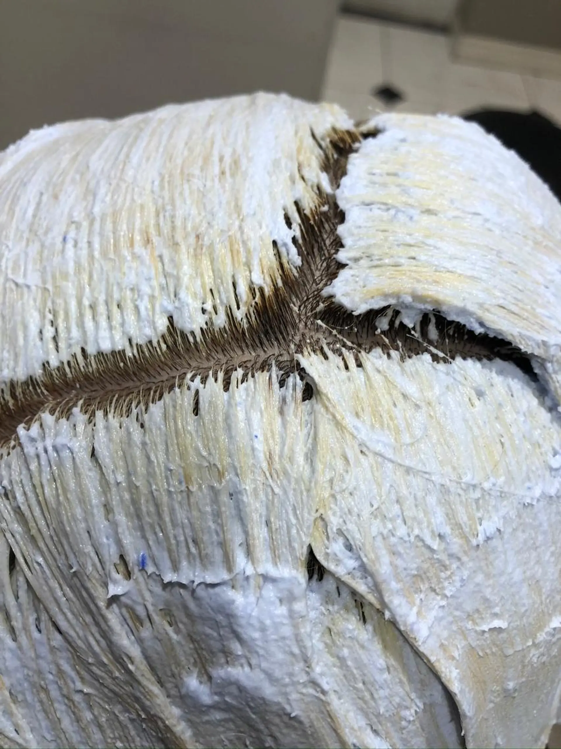 カラー MichioNozawaHairSalonGinza所属・watanabe kazukiのヘアスタイル