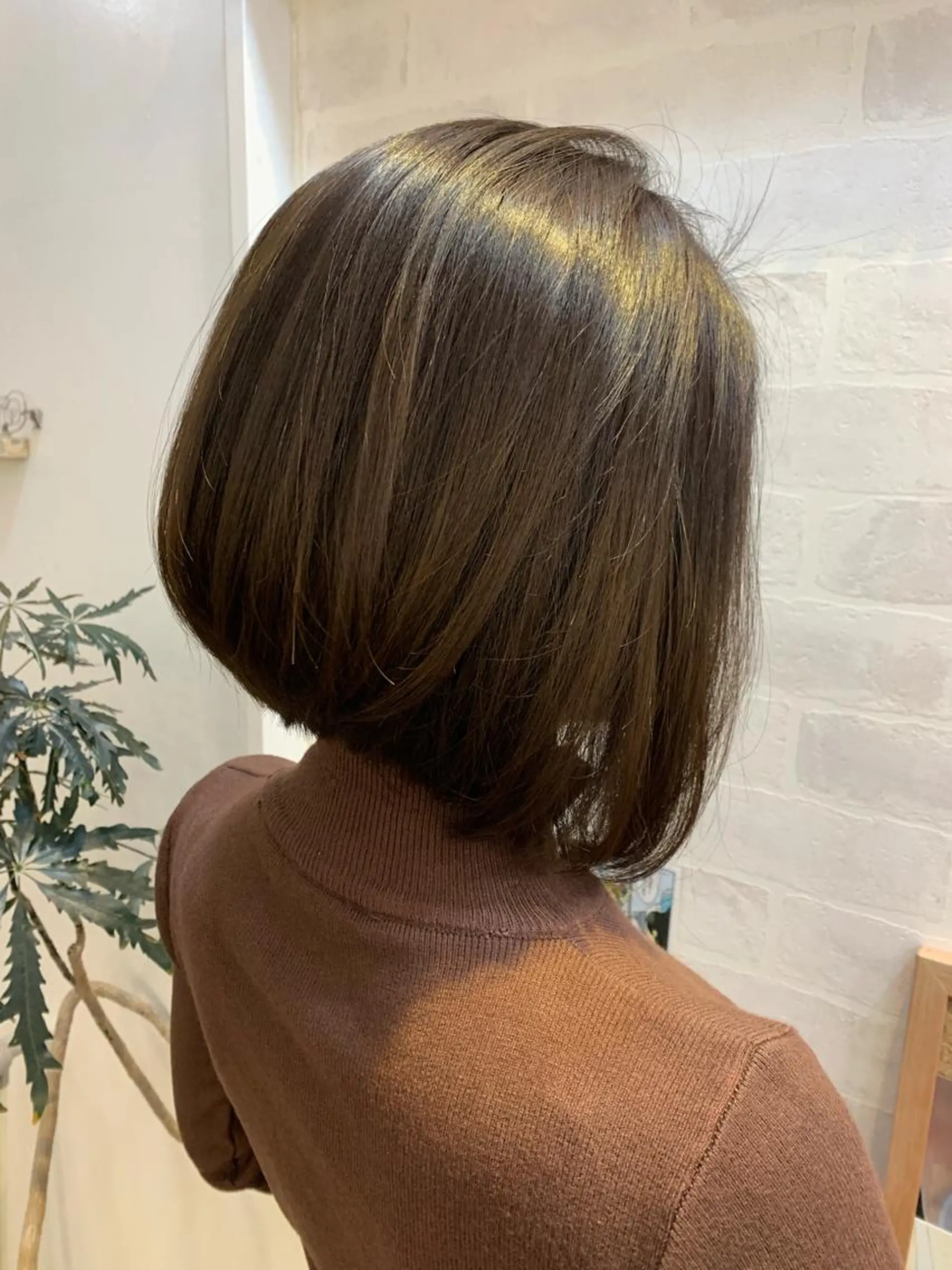 ショート カラー ブラウンカラー きむえり/髪質改善 /セット/カラーのヘアスタイル