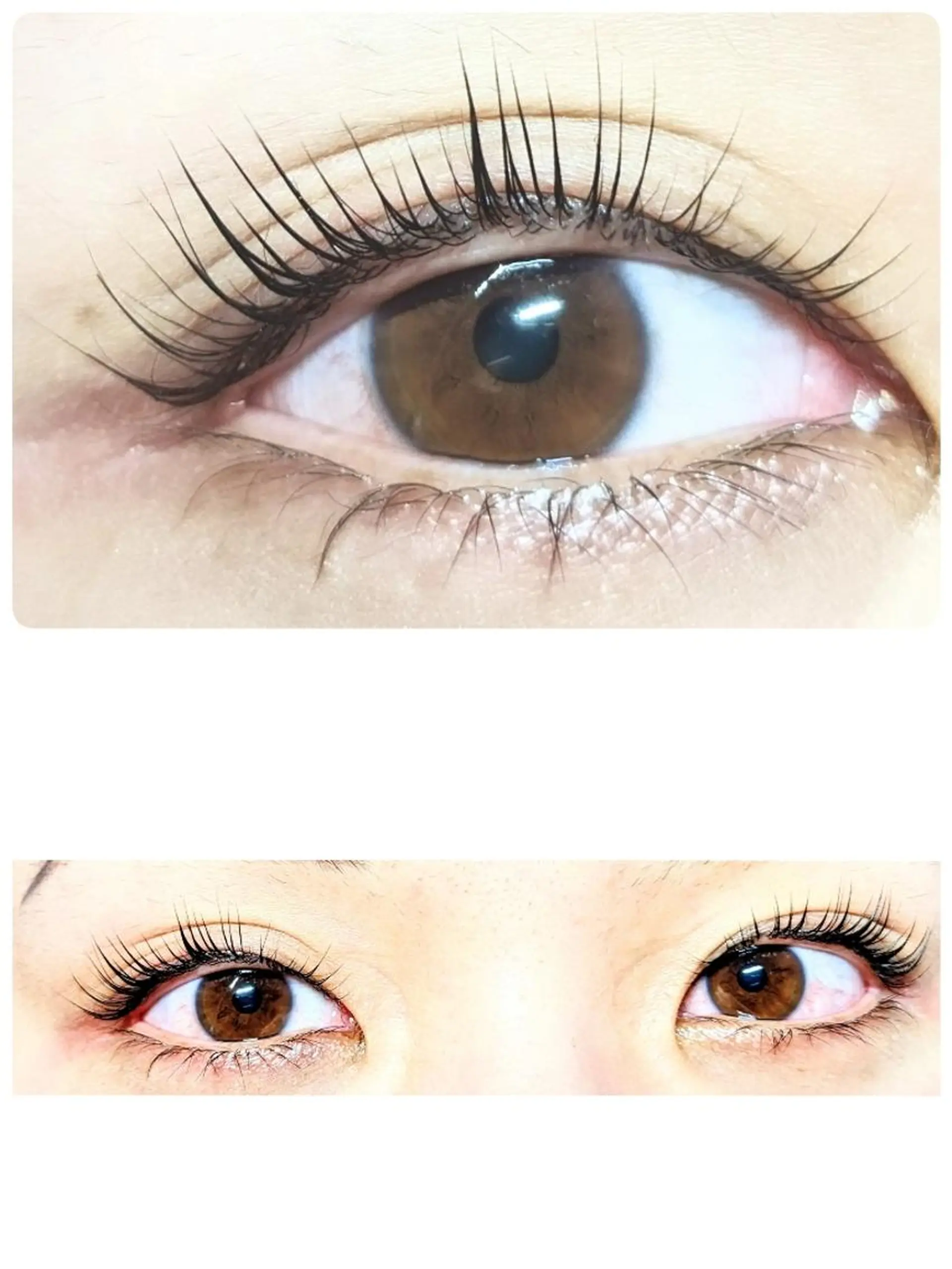 マツエク・マツパ パリジェンヌラッシュリフト chaler 　シャルーレ所属・シャルーレ chalerのマツエク・マツパデザイン