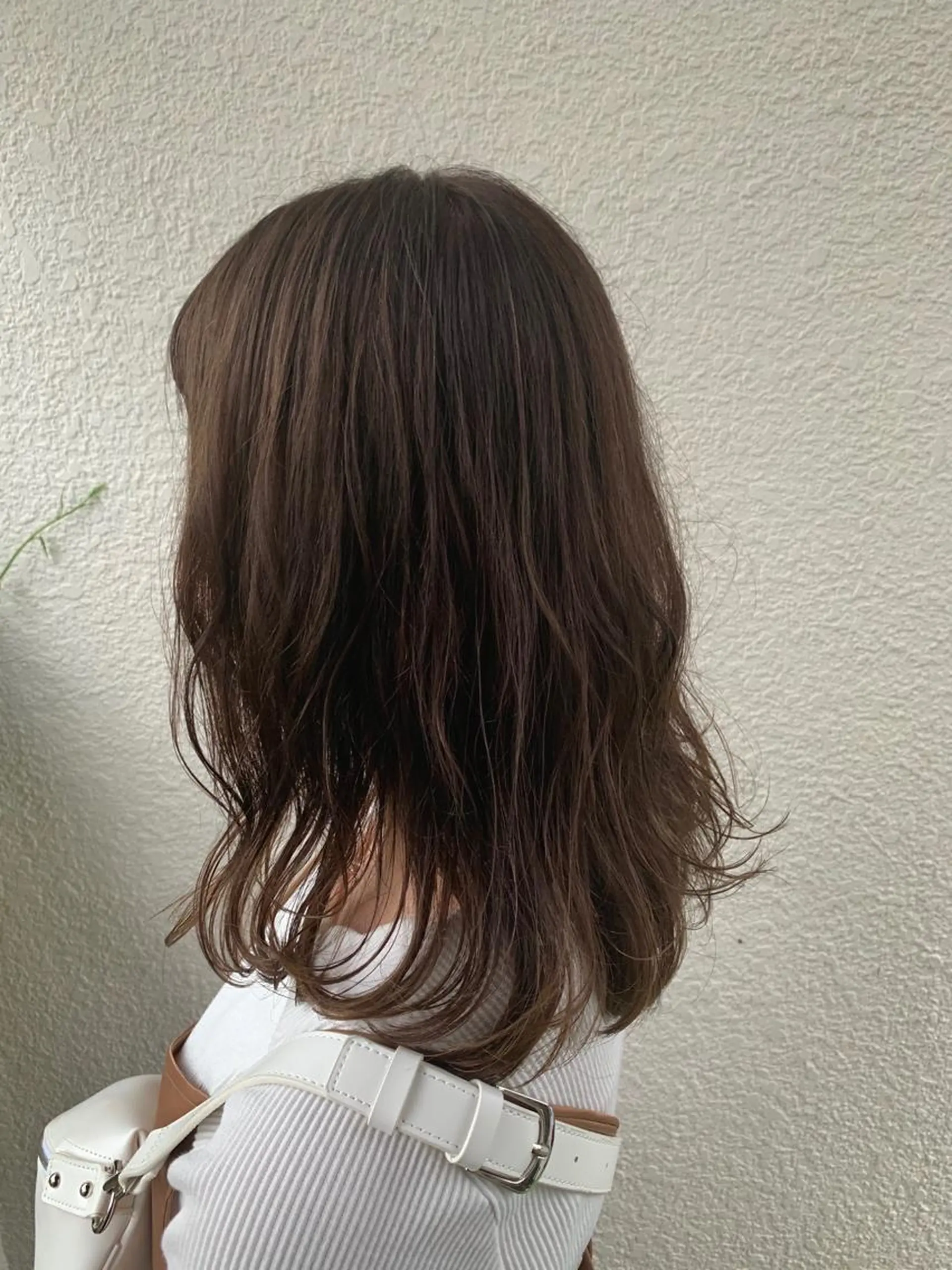 ミディアム ハイライト 小杉輝/ショート /艶カラー✨のヘアスタイル