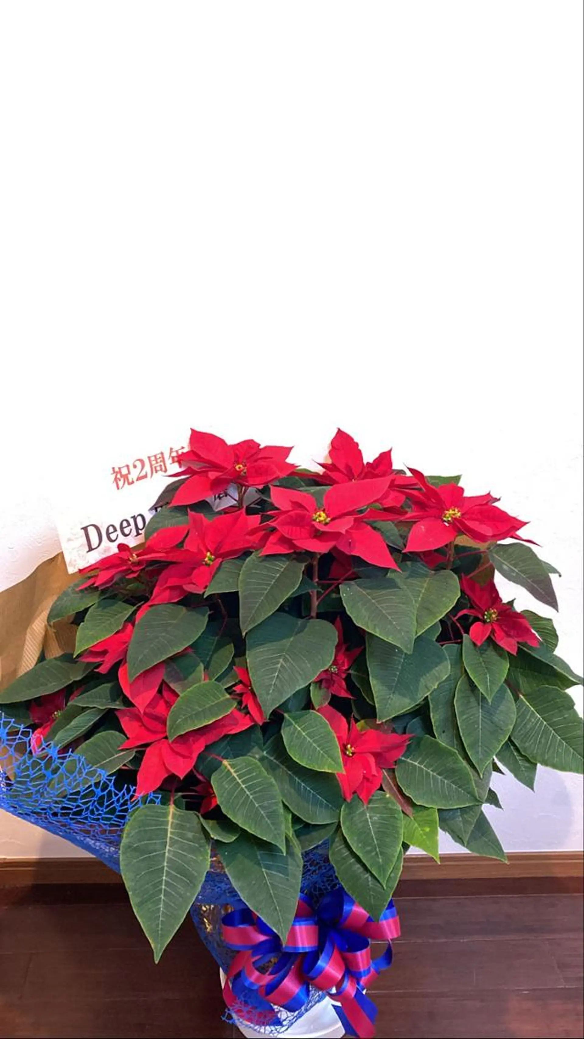 ネイル Private Salon S.Nail所属・S.Nail 𓂃٭のネイルデザイン