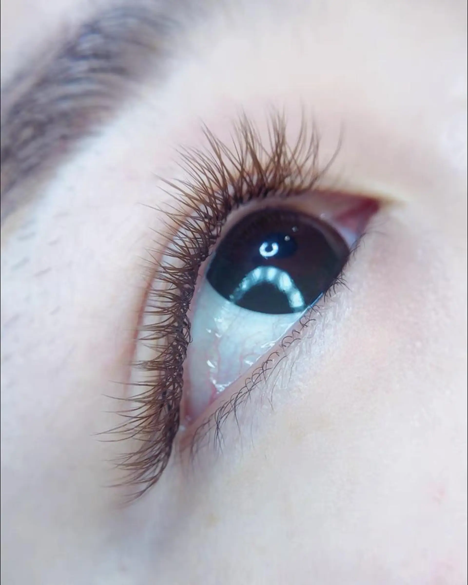 マツエク・マツパ Cute B e au t yのマツエク・マツパデザイン