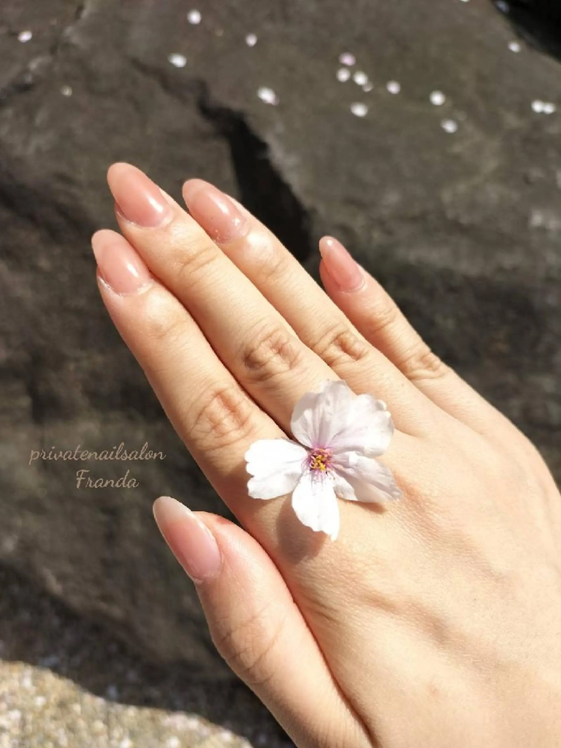 ネイル ハンドネイル Franda ✾のネイルデザイン