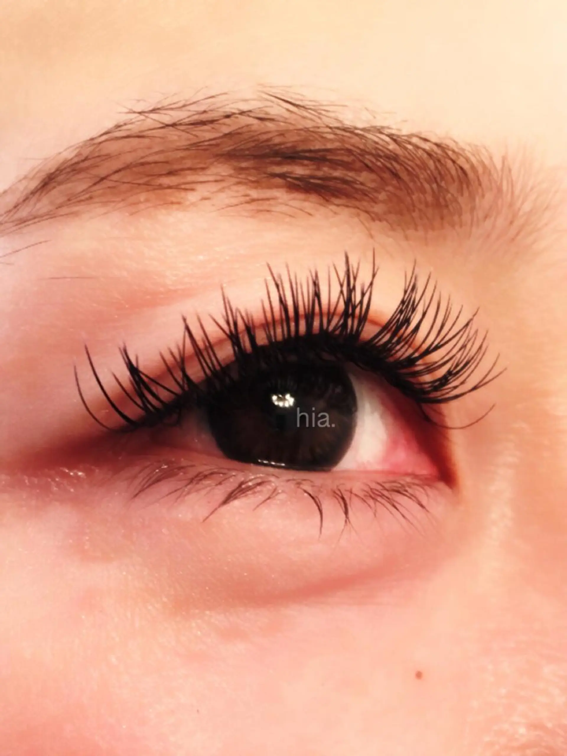 マツエク・マツパ hia   ヒア マツエク/パリエクのマツエク・マツパデザイン