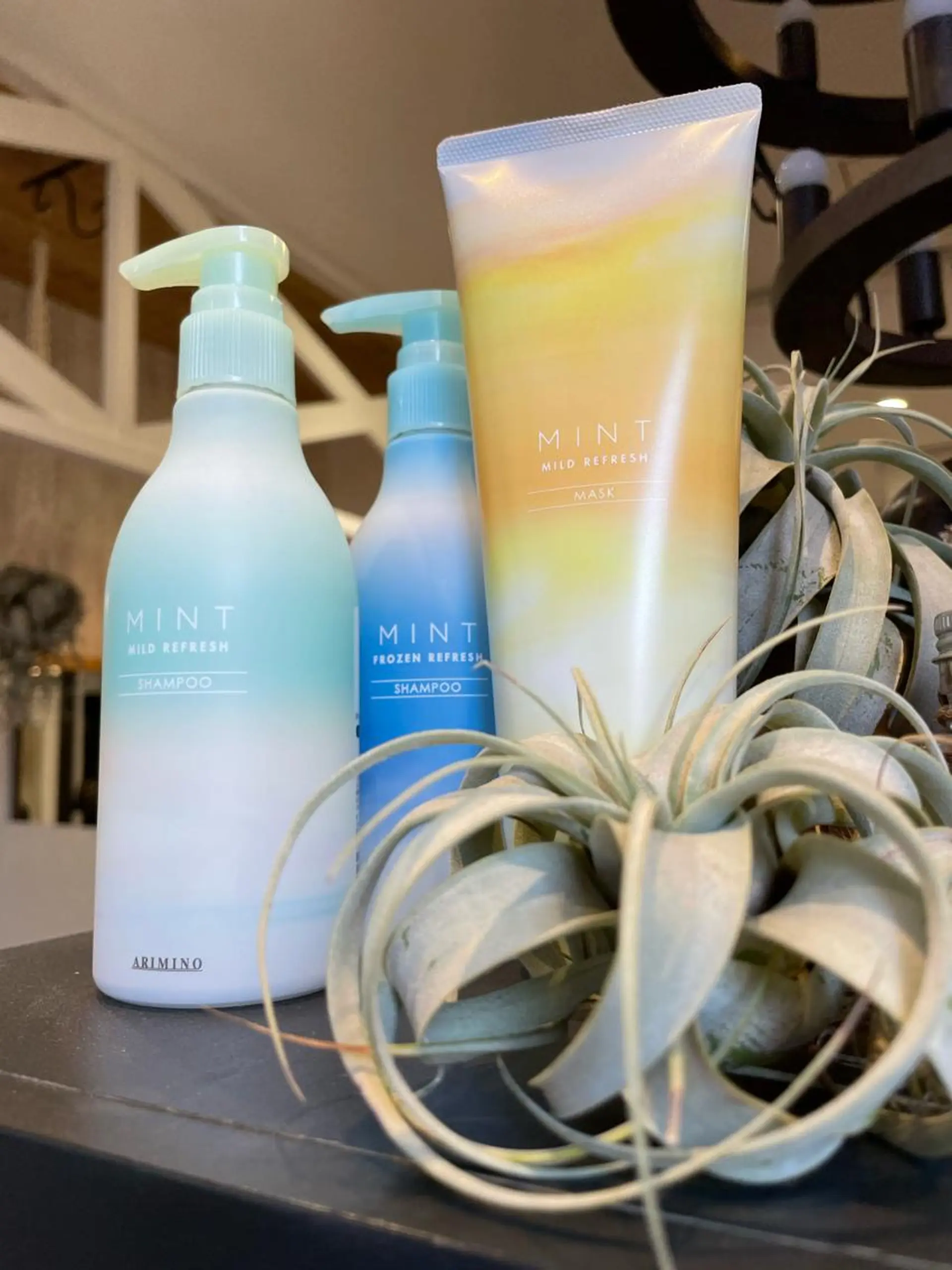 井上 舞のヘアスタイル